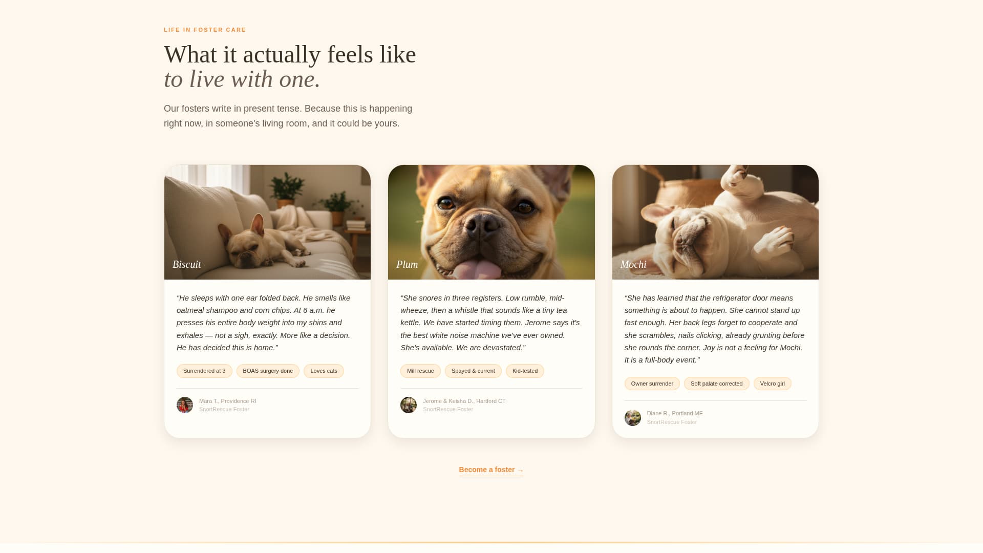 Snort - Heartwarming Rescue Landing Page Template