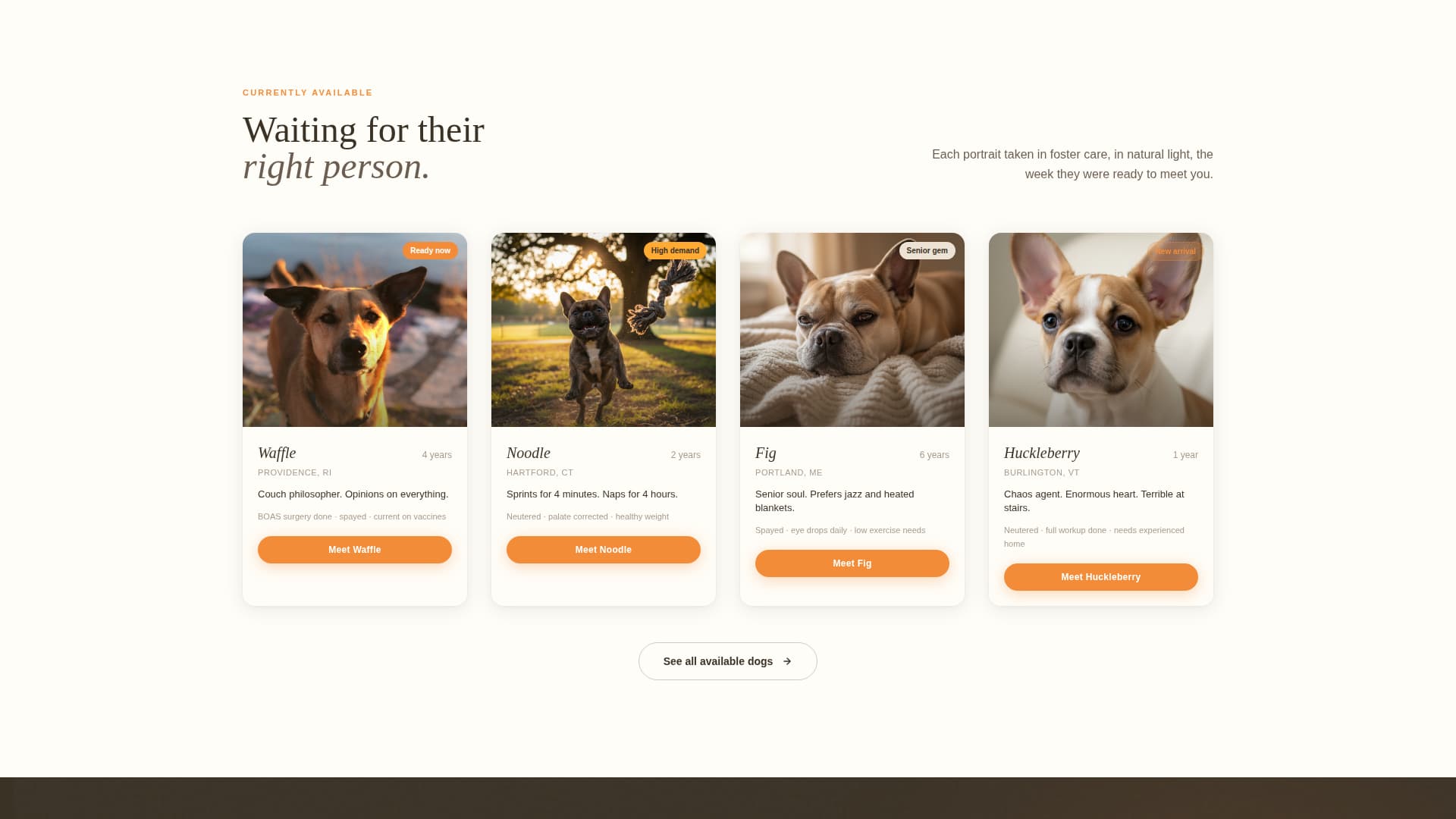 Snort - Heartwarming Rescue Landing Page Template