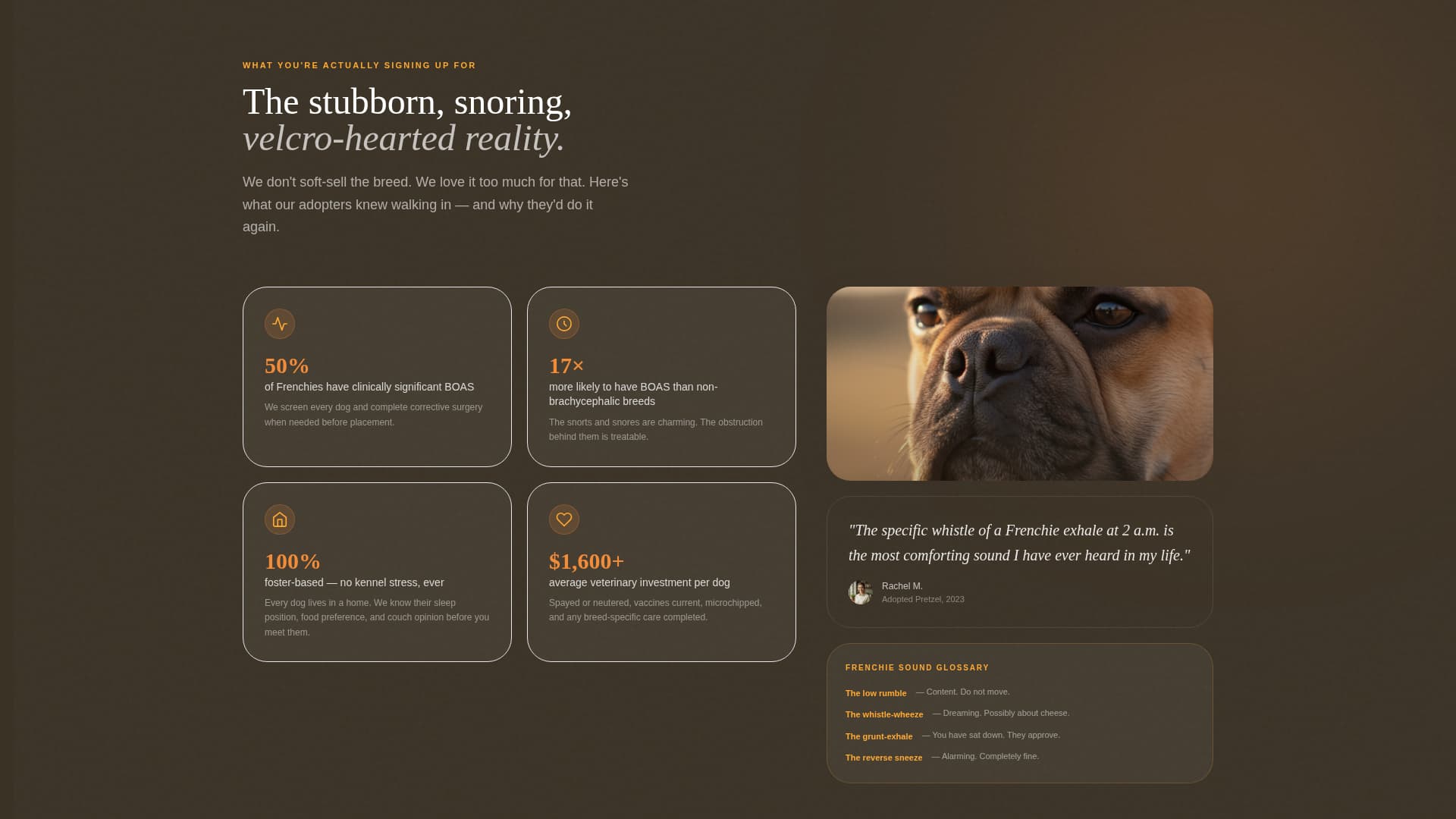 Snort - Heartwarming Rescue Landing Page Template