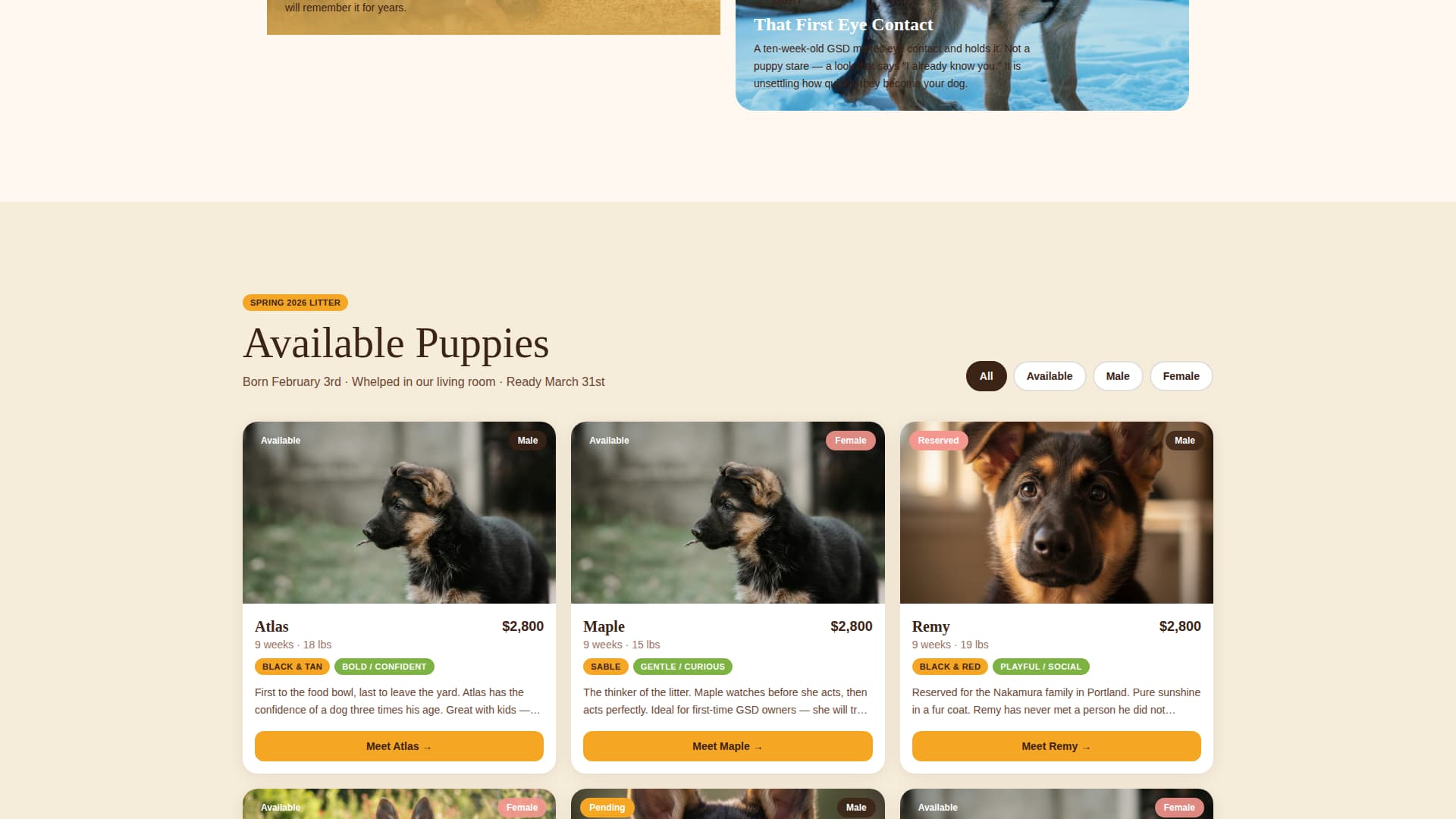 Dog Expert Professional Website Template