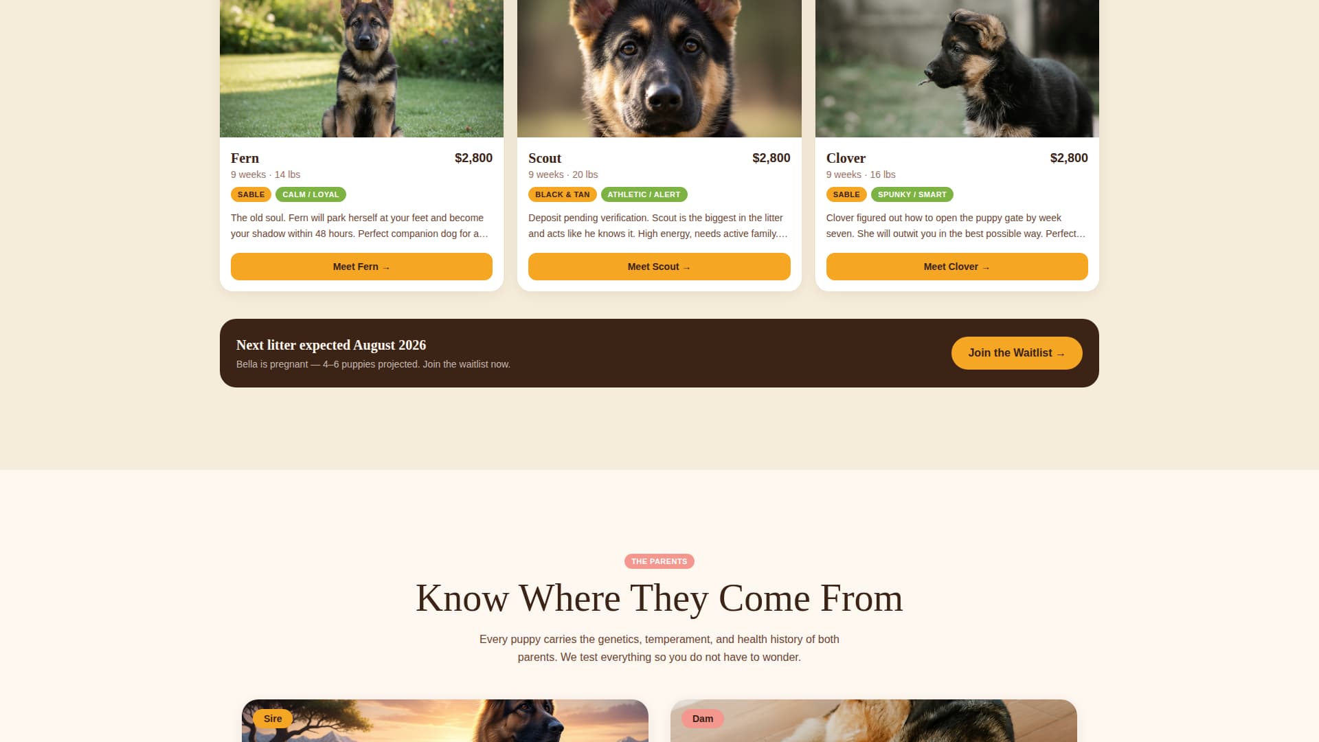 Dog Expert Professional Website Template