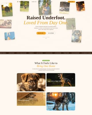 Dog Expert Professional Website Template