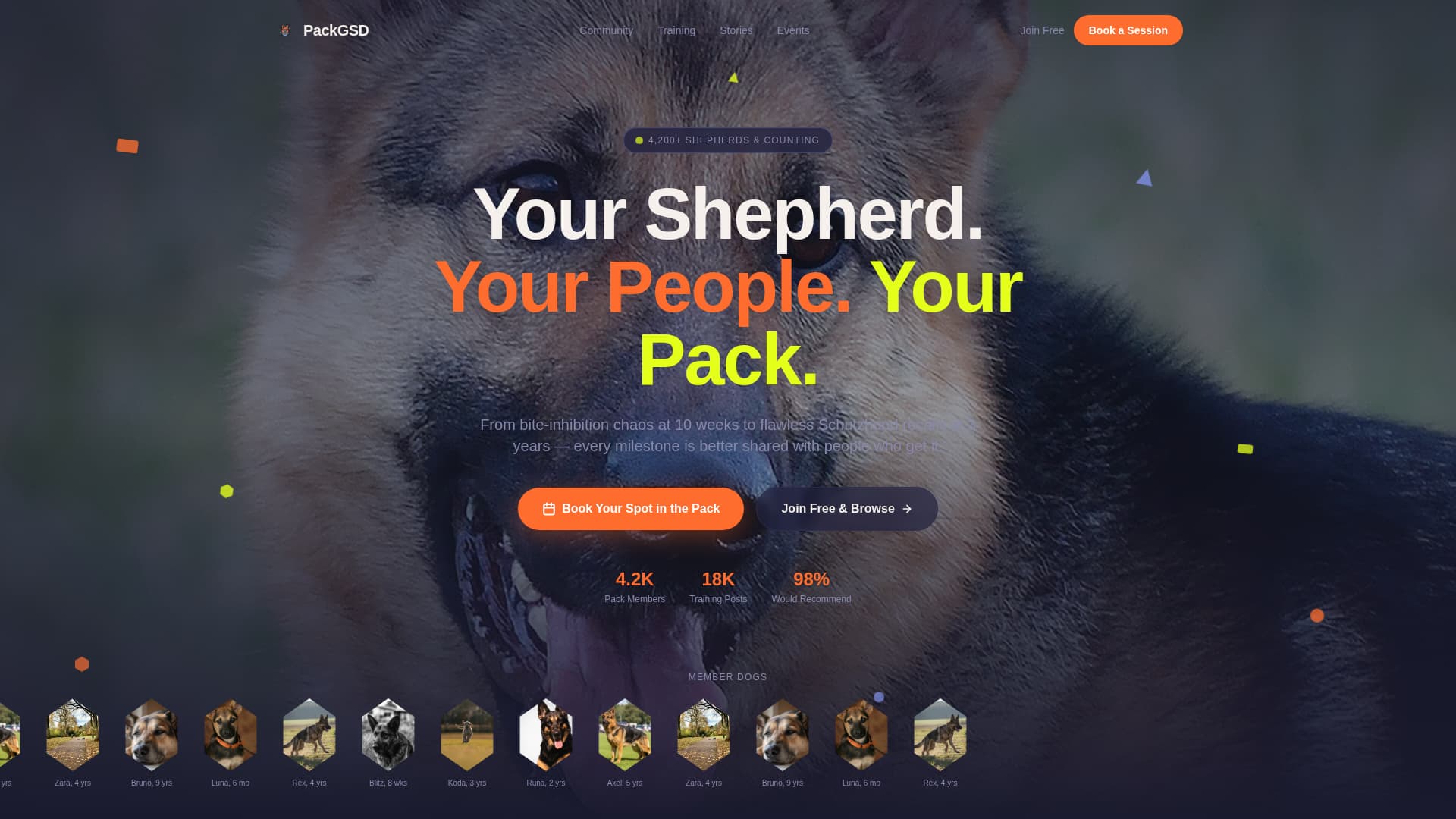 Dog Premium Booking Website Template