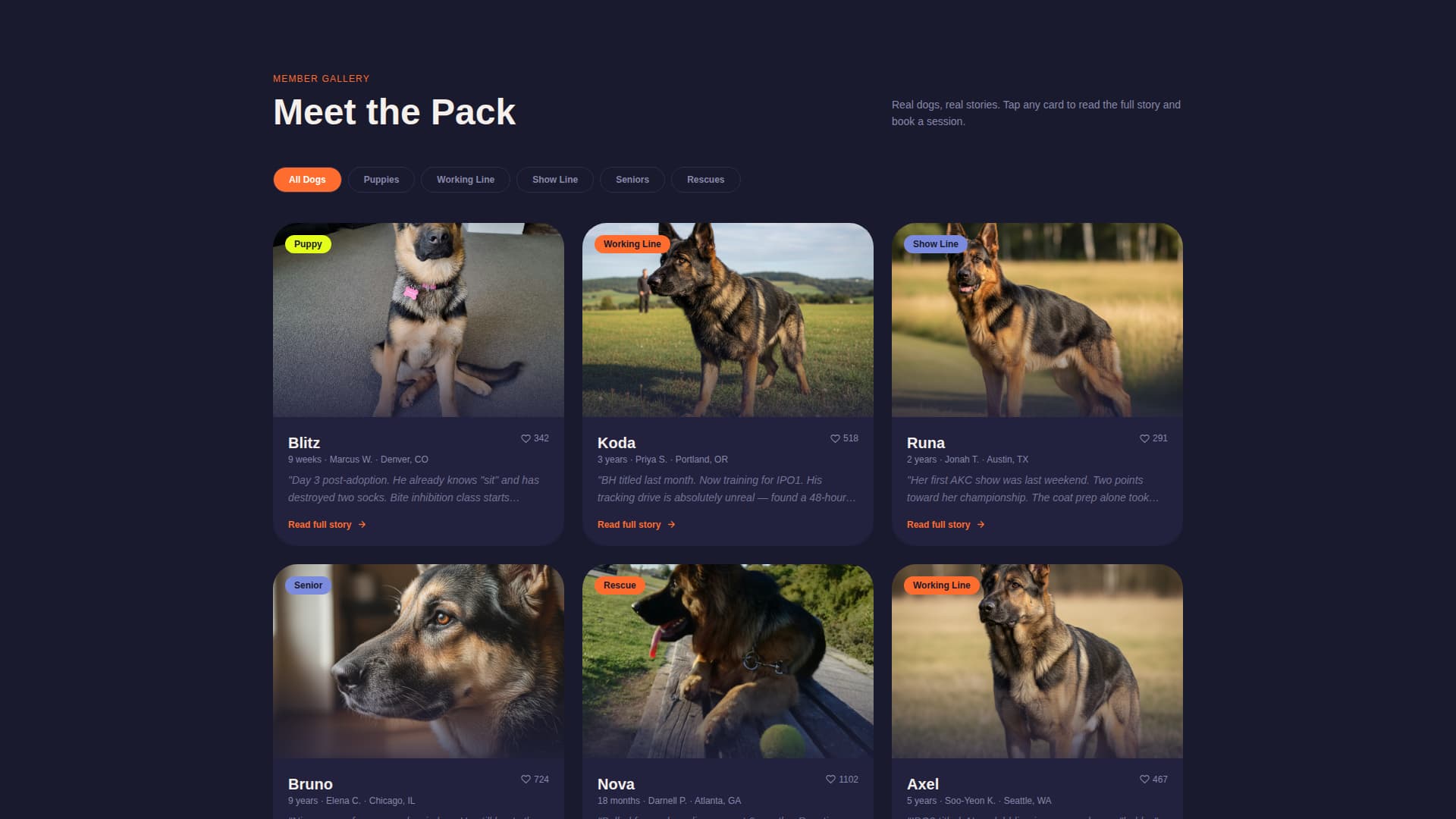 Dog Premium Booking Website Template