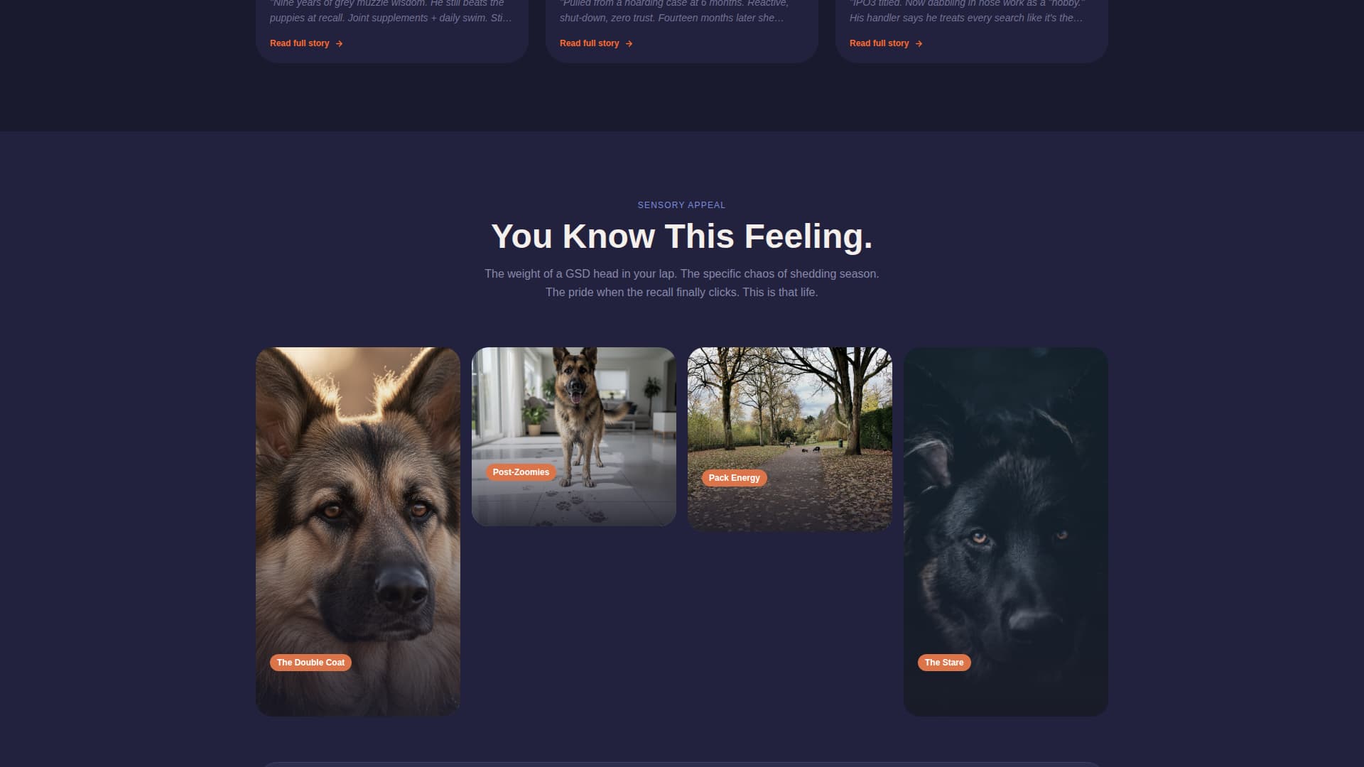 Dog Premium Booking Website Template