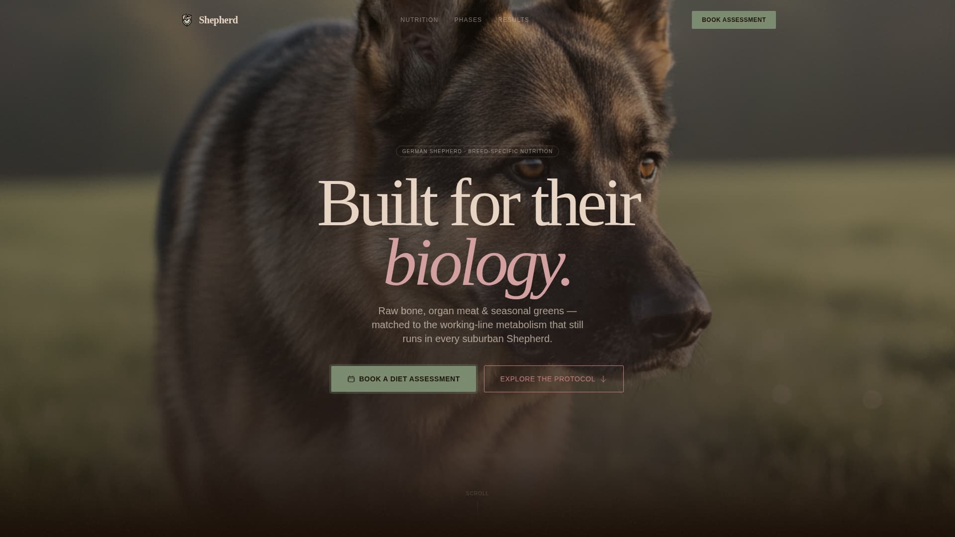 Dog Complete Booking Website Template