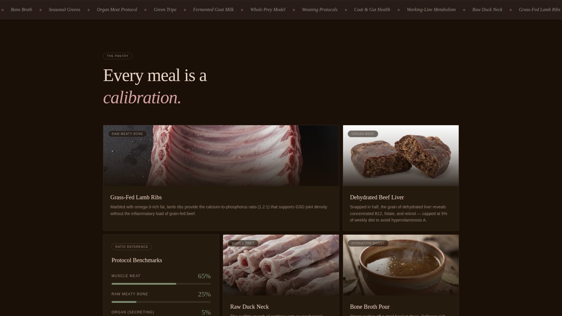 Dog Complete Booking Website Template