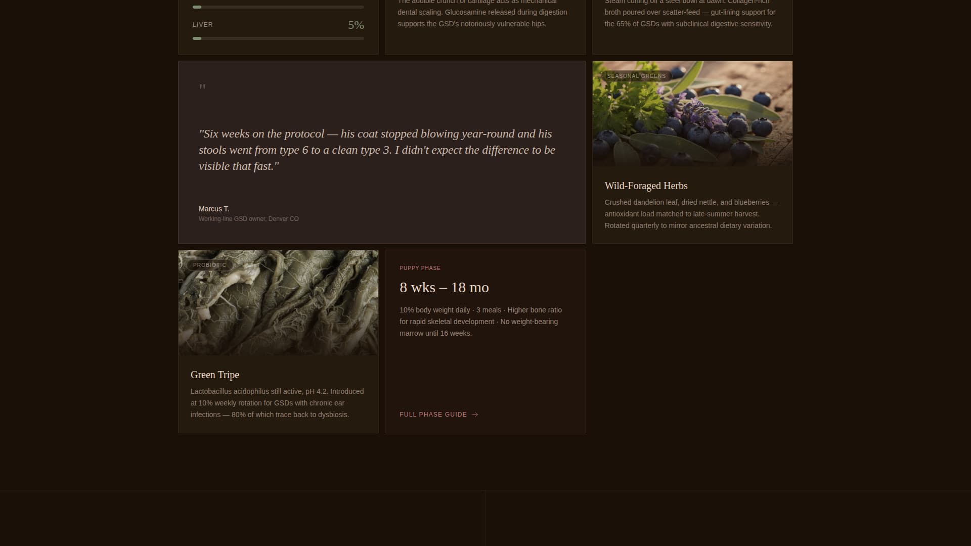 Dog Complete Booking Website Template