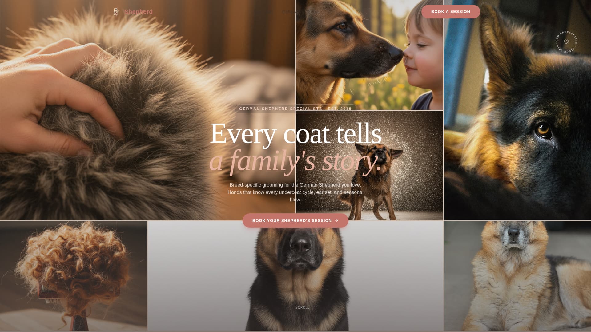 Dog Expert Booking Website Template