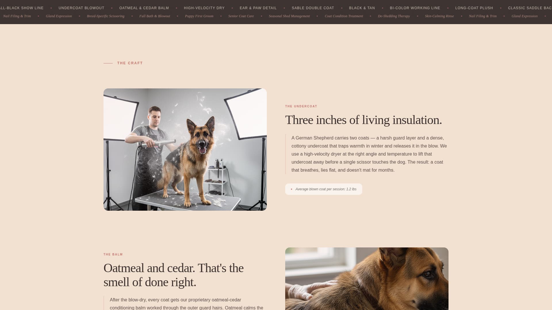 Dog Expert Booking Website Template