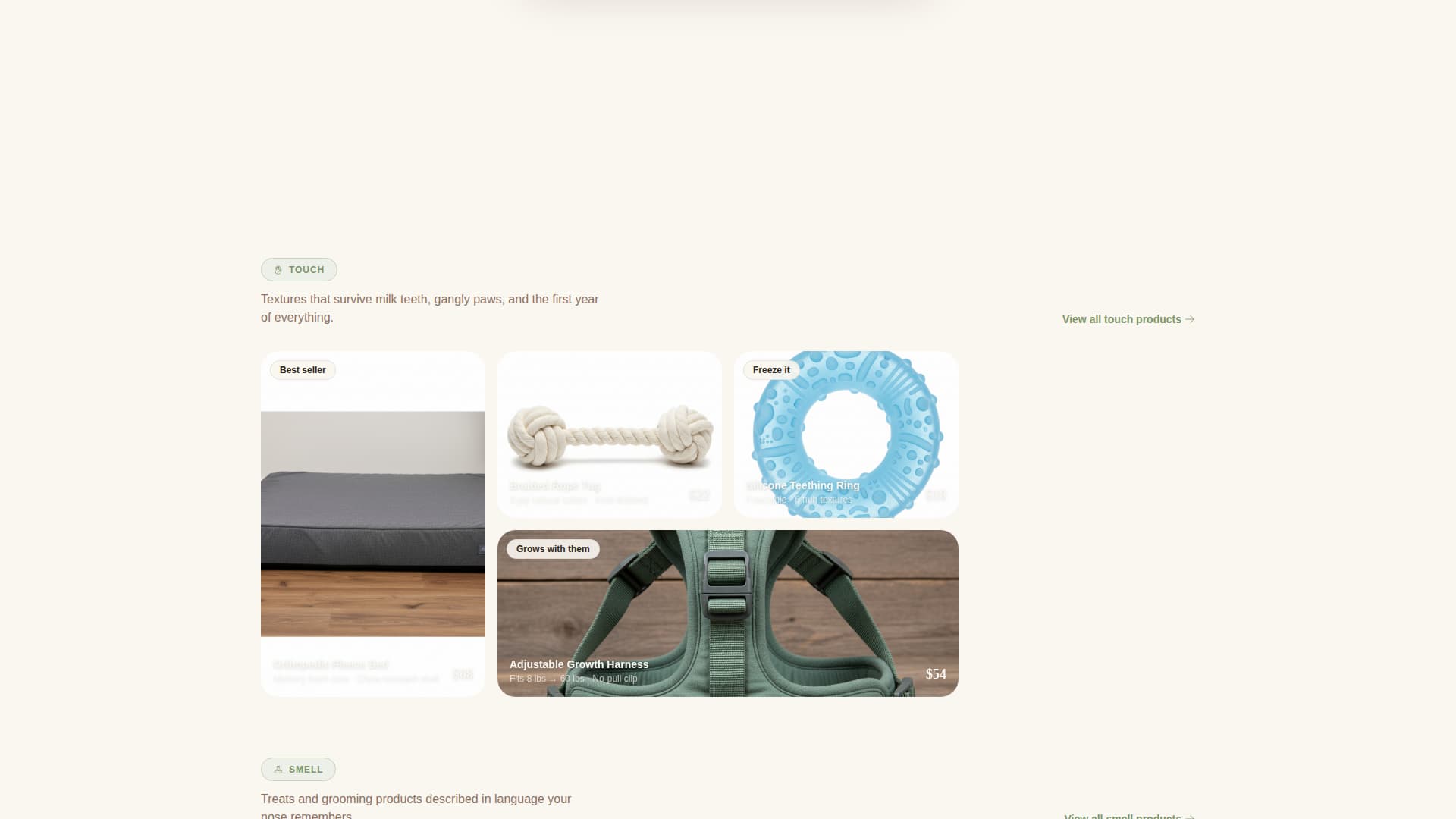 Dog Advanced Professional Website Template