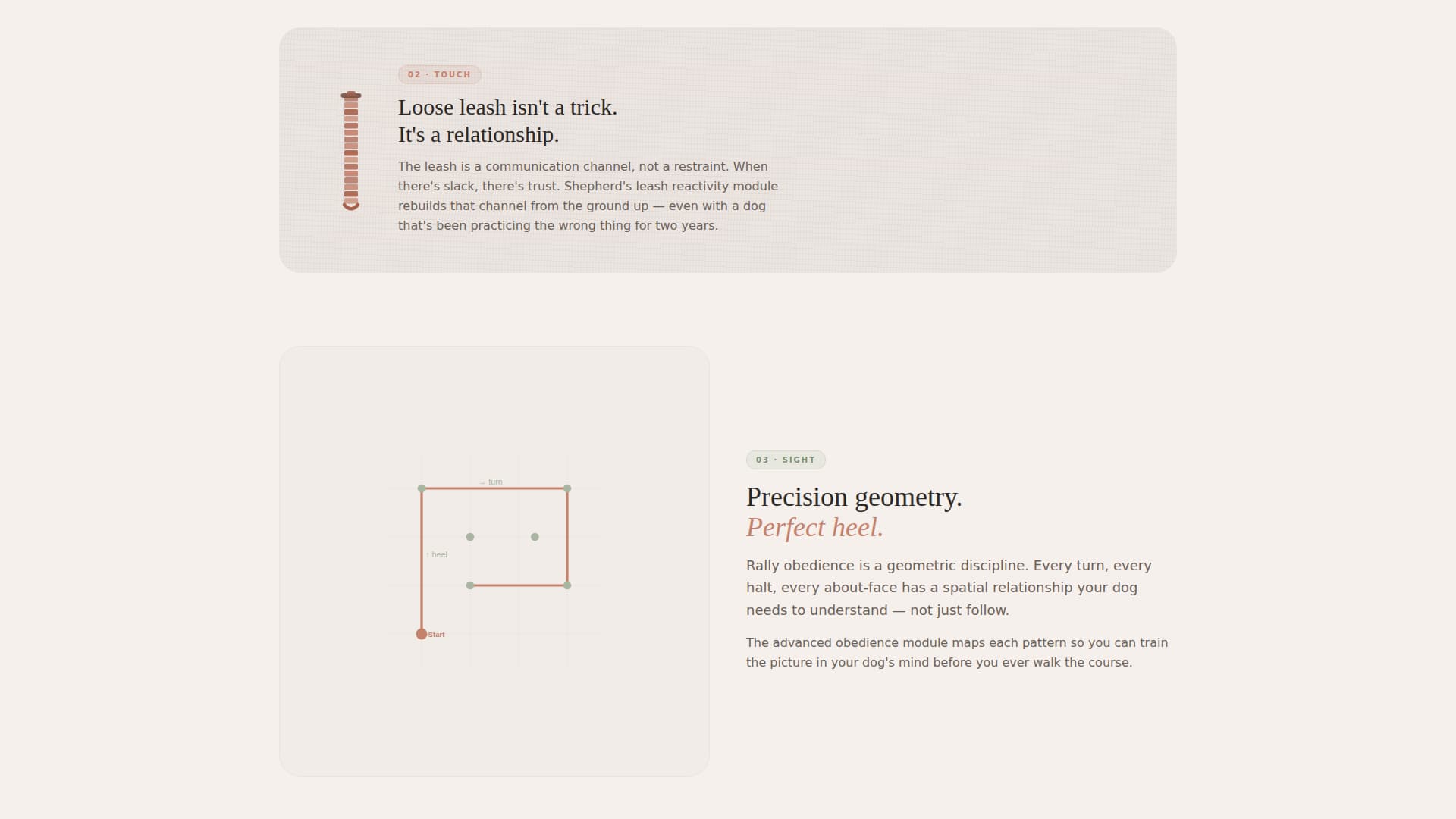 Dog Complete Professional Website Template