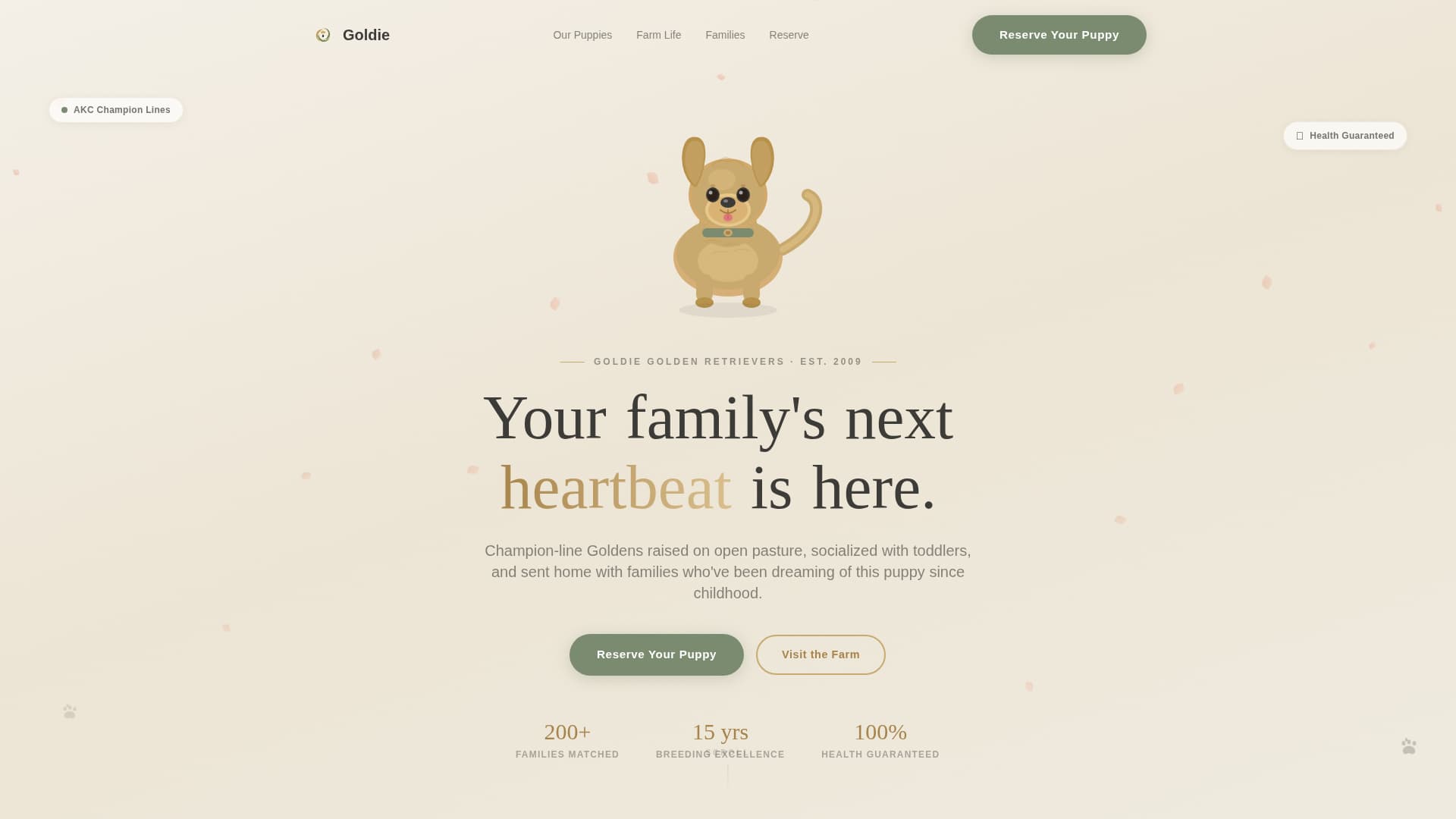 Dog Local Booking Website Template