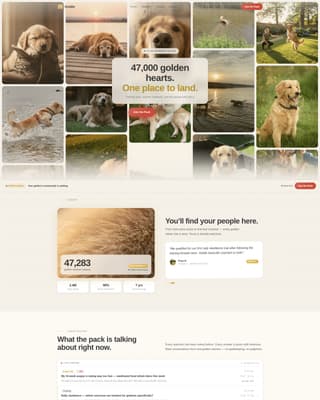 Dog Premium Professional Website Template