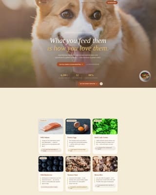 Dog Local Professional Website Template