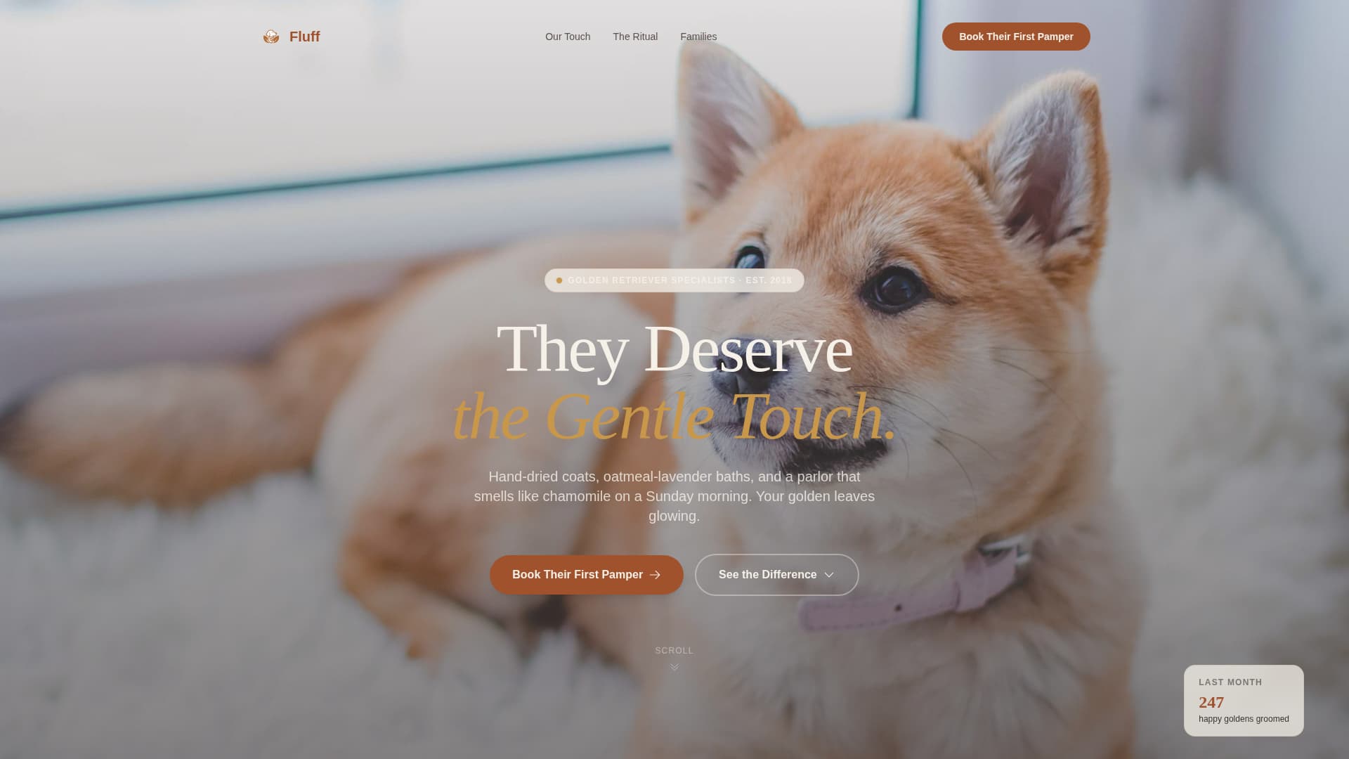 Dog Online Professional Website Template
