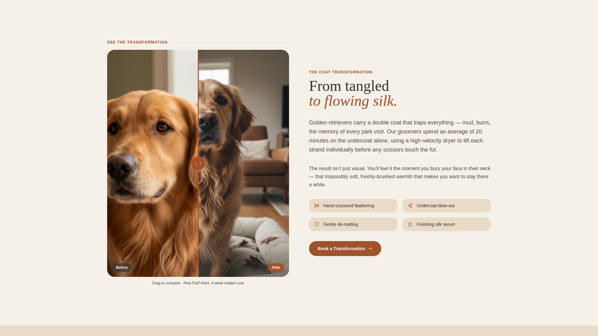Dog Online Professional Website Template
