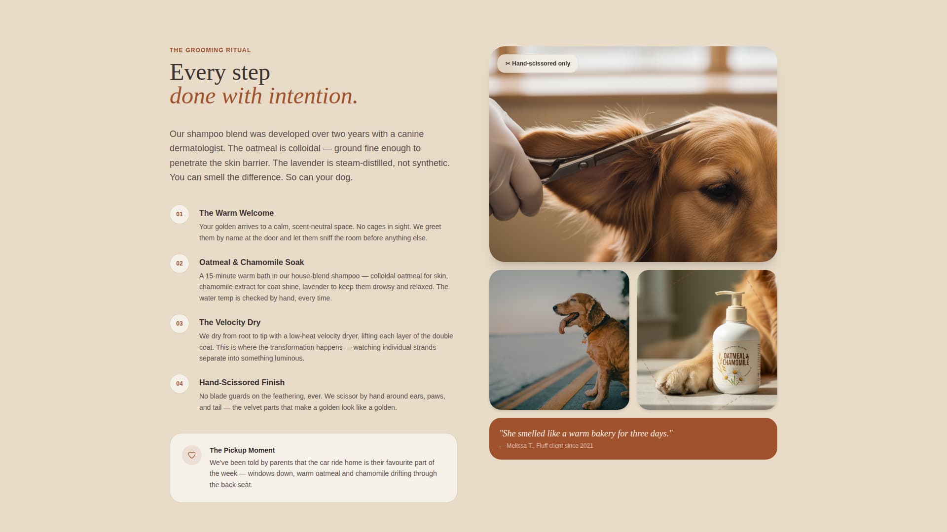 Dog Online Professional Website Template