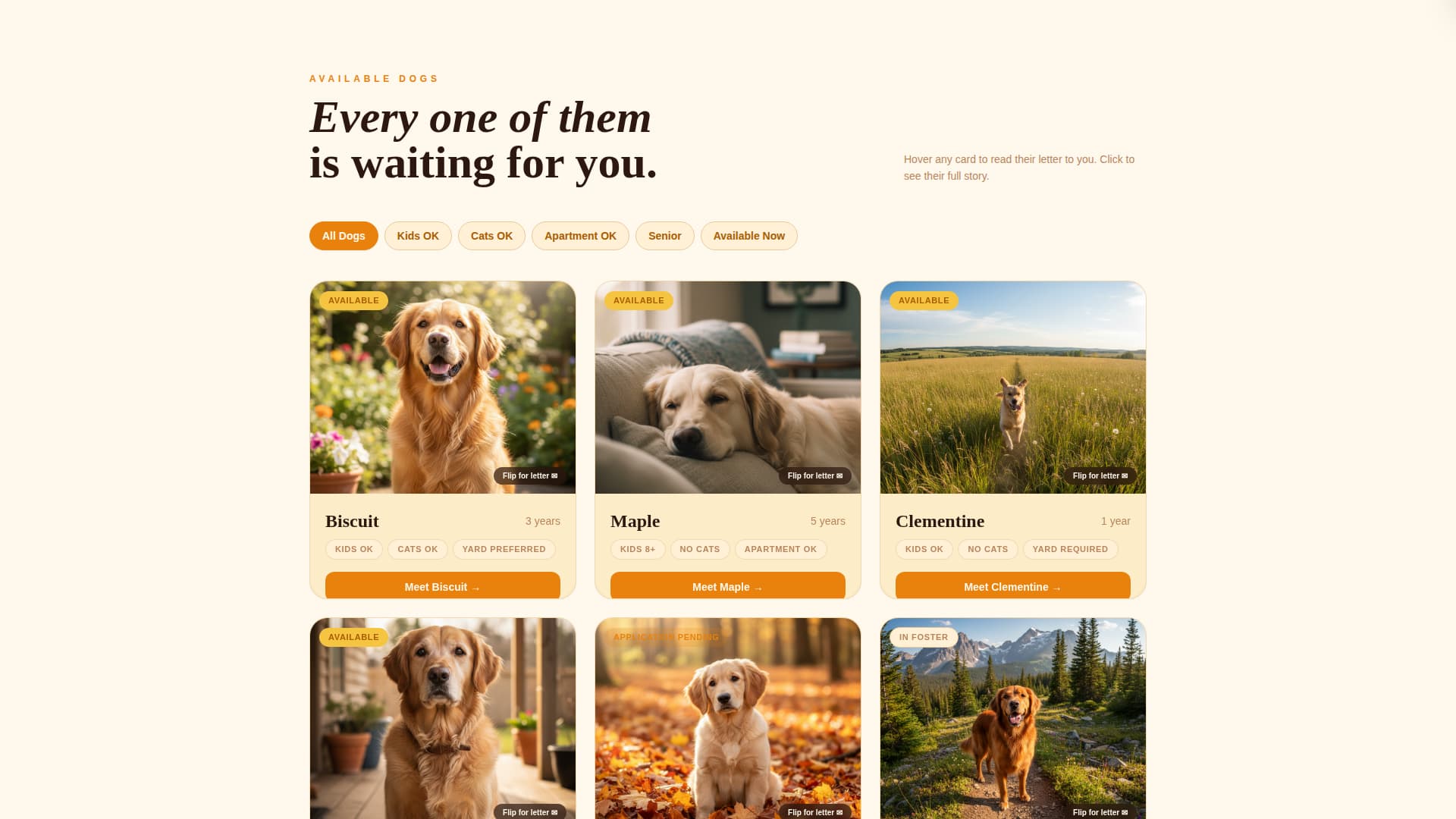 Dog Certified Professional Website Template