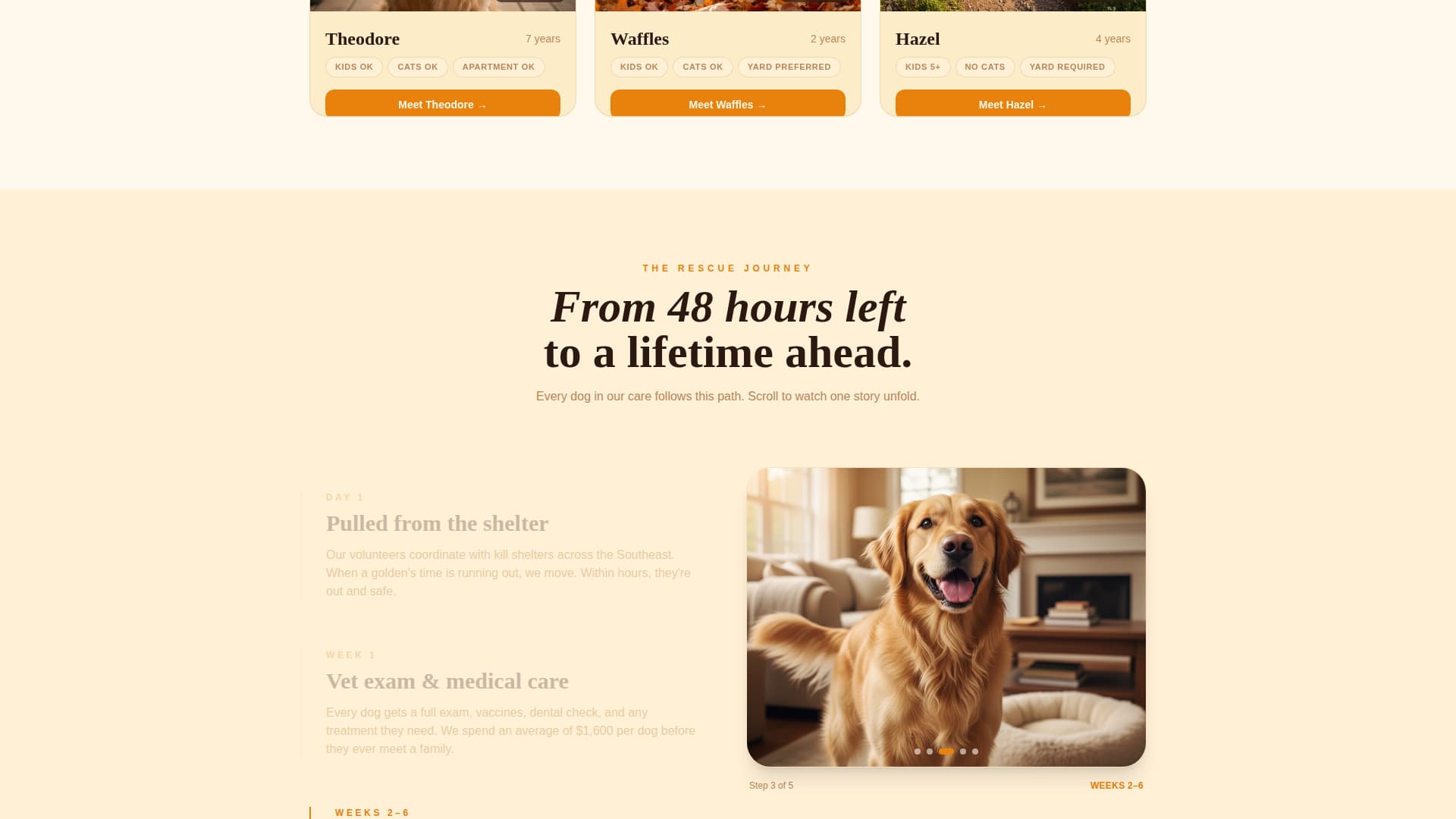 Dog Certified Professional Website Template