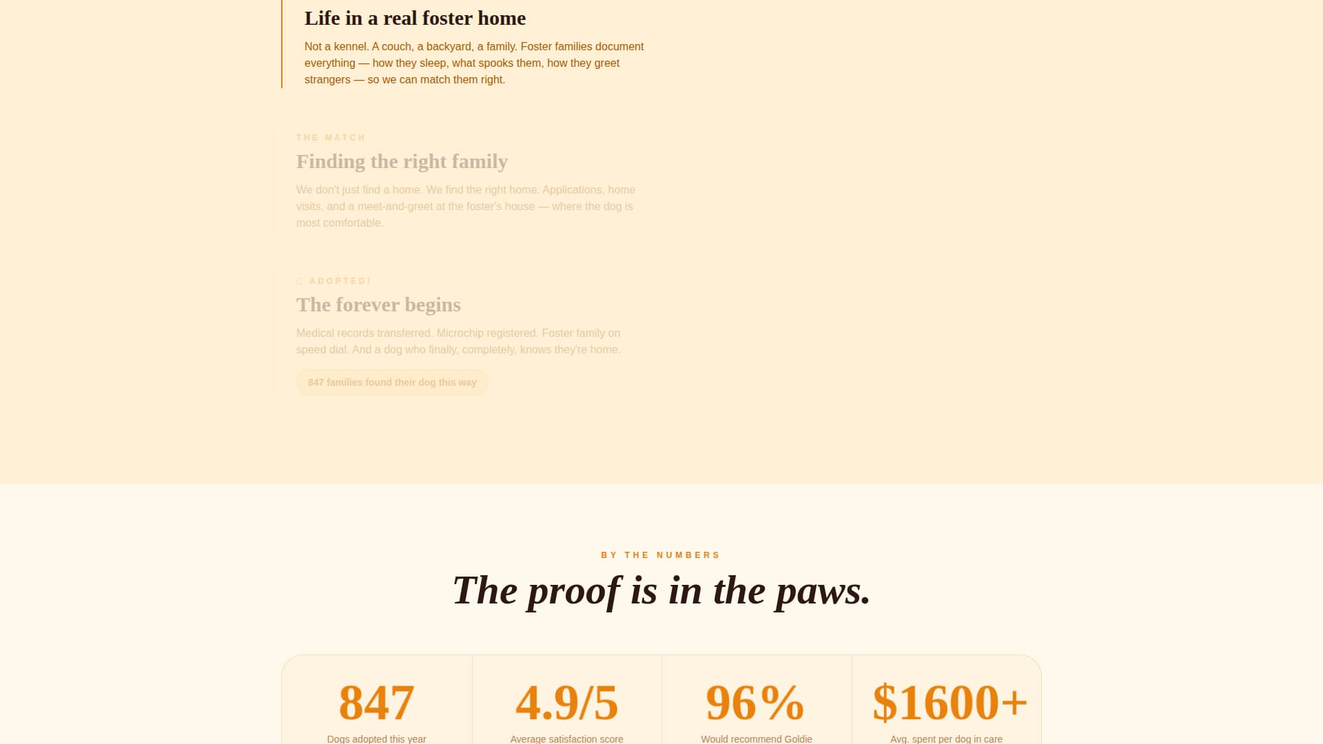 Dog Certified Professional Website Template