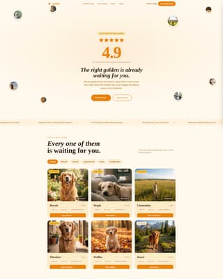 Dog Certified Professional Website Template