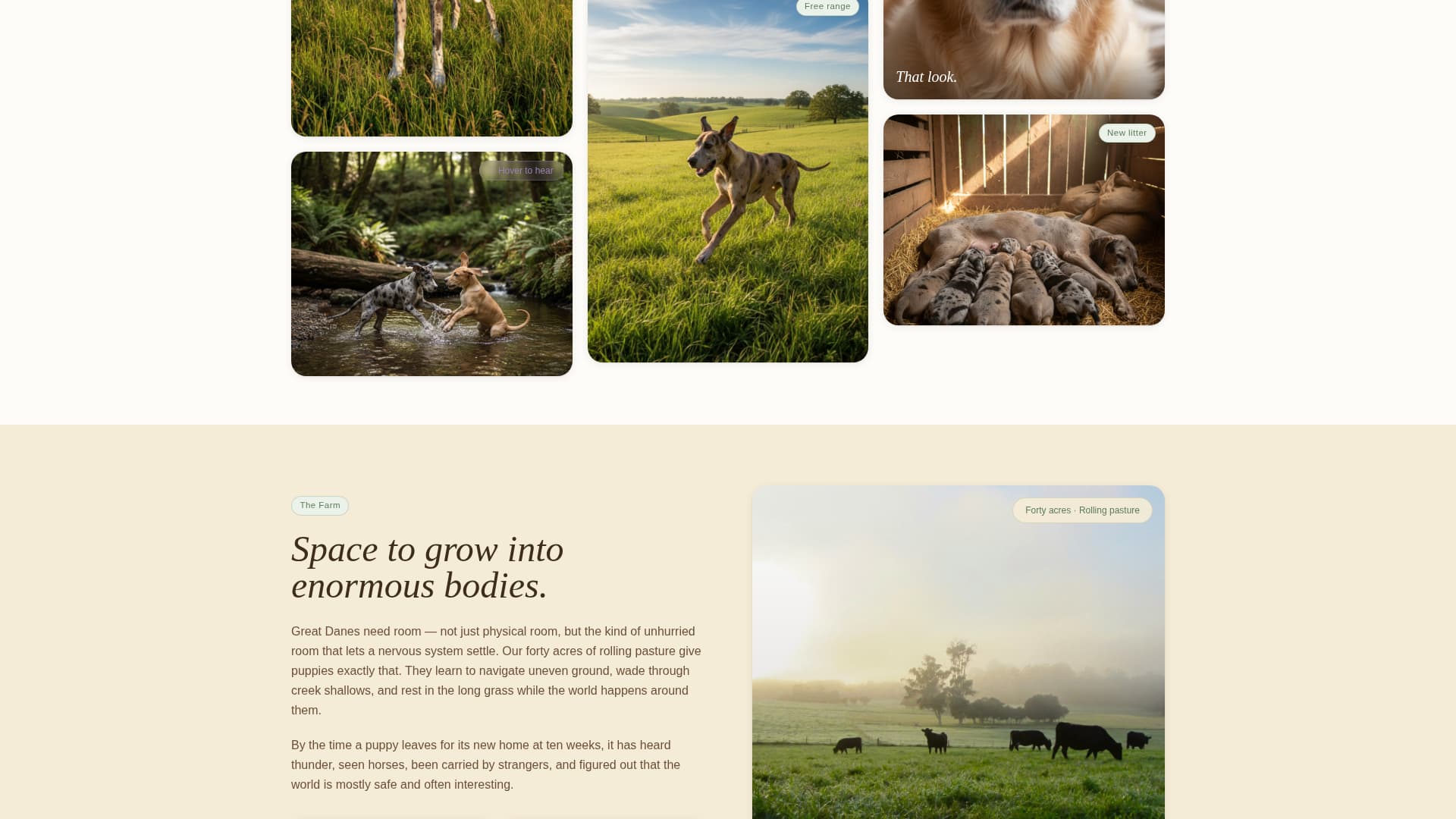 Gentle - Enchanting Breeder Landing Page Template