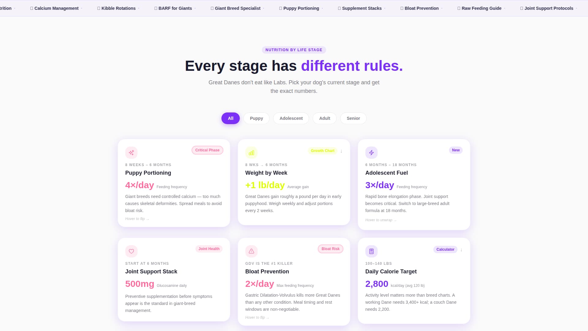 Great - Modern Dane Landing Page Template