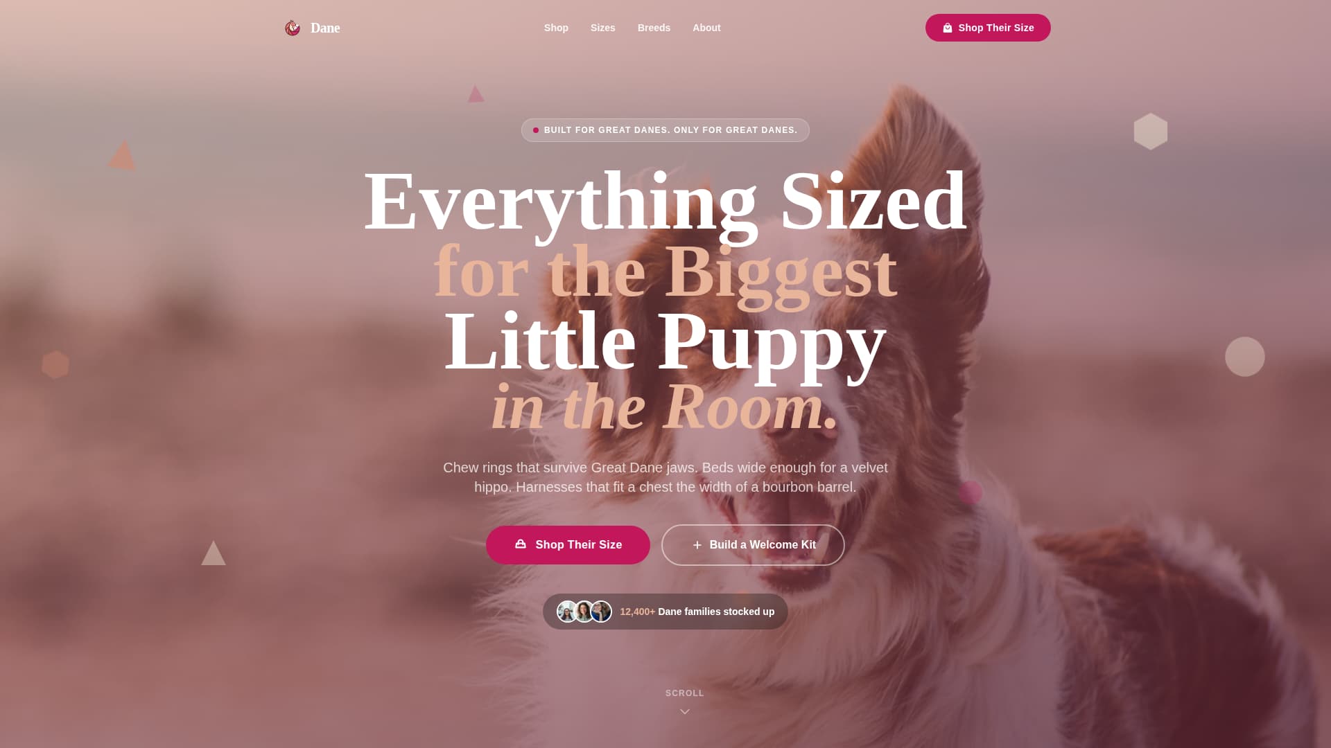 Dane - Playful Puppysupplies Landing Page Template