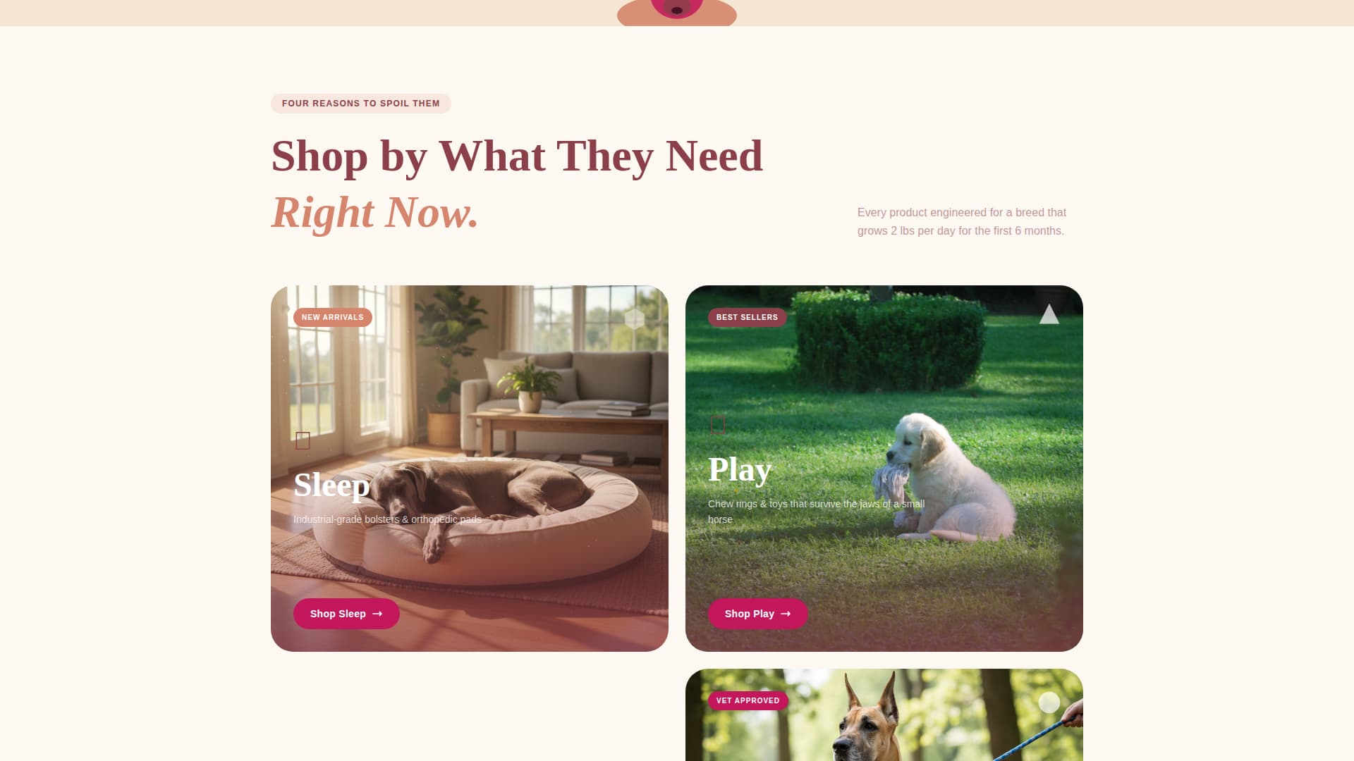 Dane - Playful Puppysupplies Landing Page Template