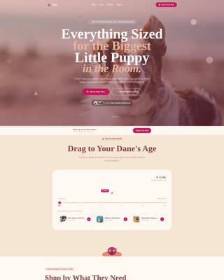 Dane - Playful Puppysupplies Landing Page Template