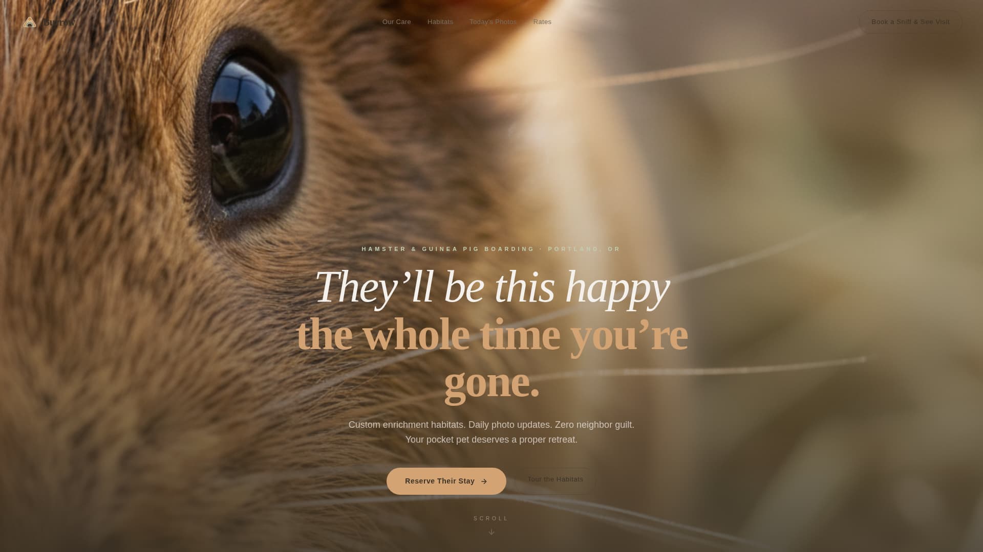 Burrow - Cozy Petboarding Landing Page Template
