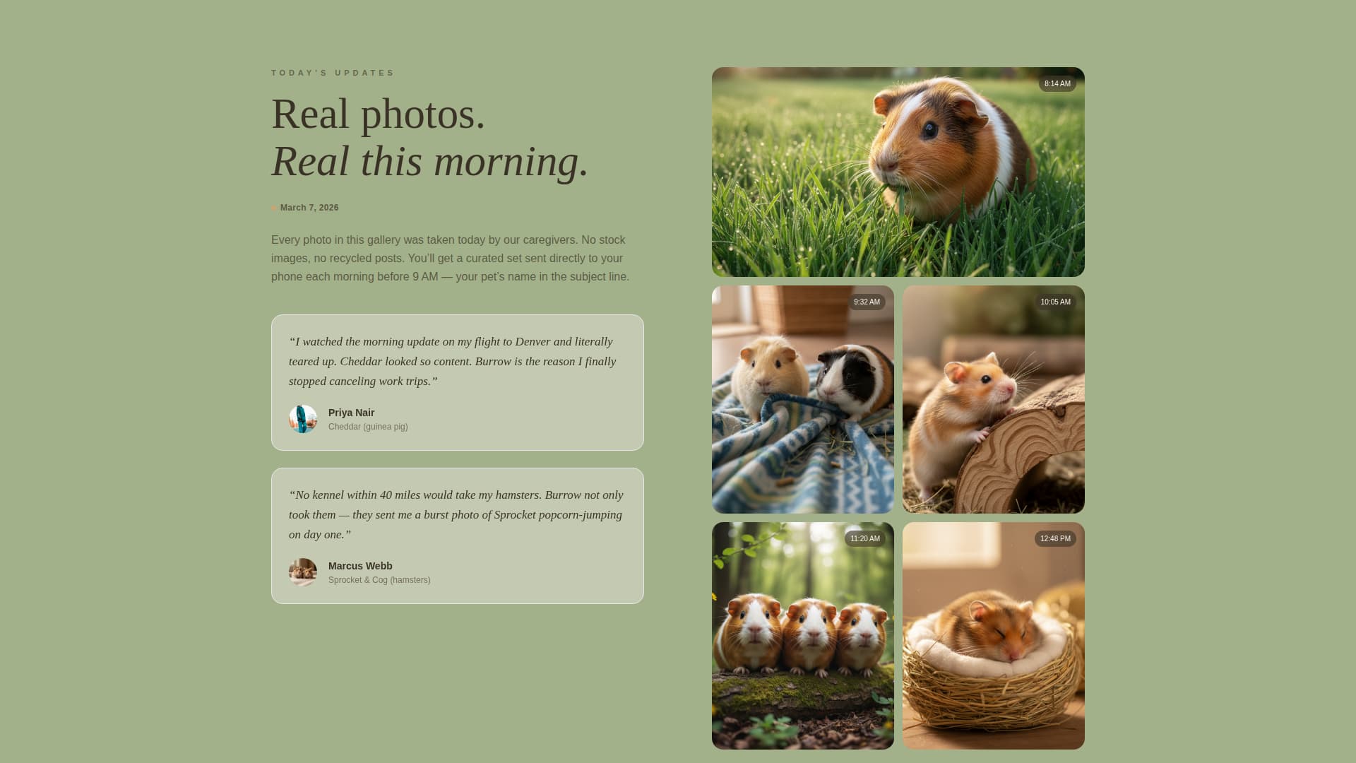 Burrow - Cozy Petboarding Landing Page Template
