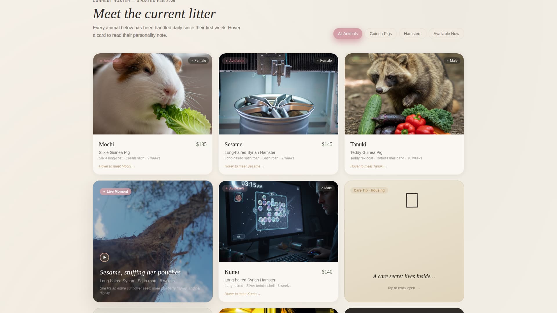 Burrow - Charming Breeder Landing Page Template