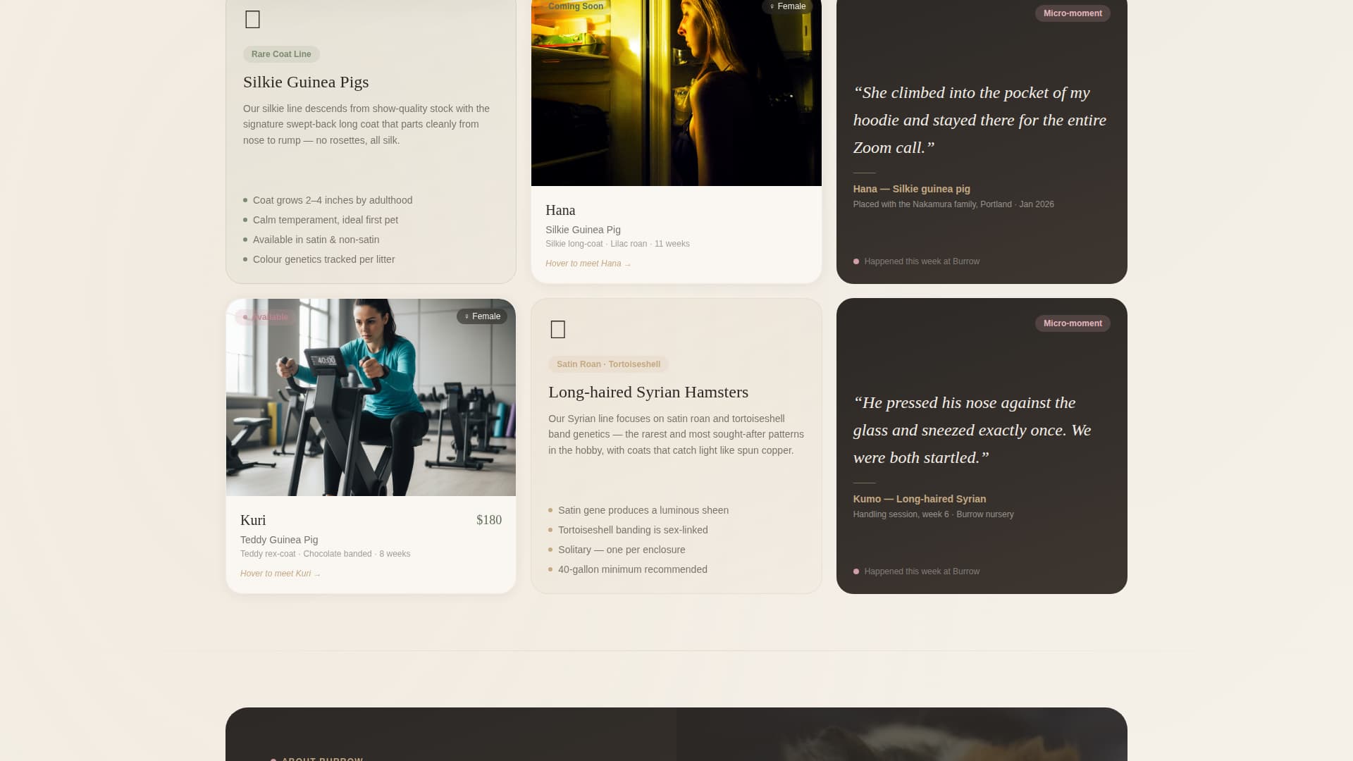 Burrow - Charming Breeder Landing Page Template