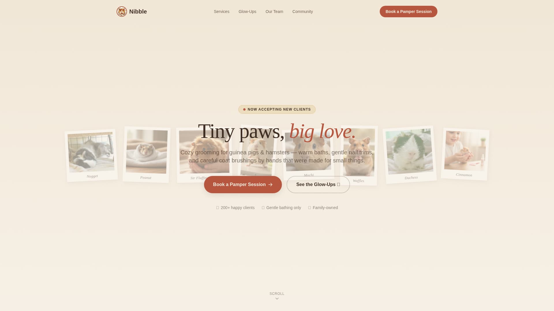 Nibble - Charming Hamstergrooming Landing Page Template