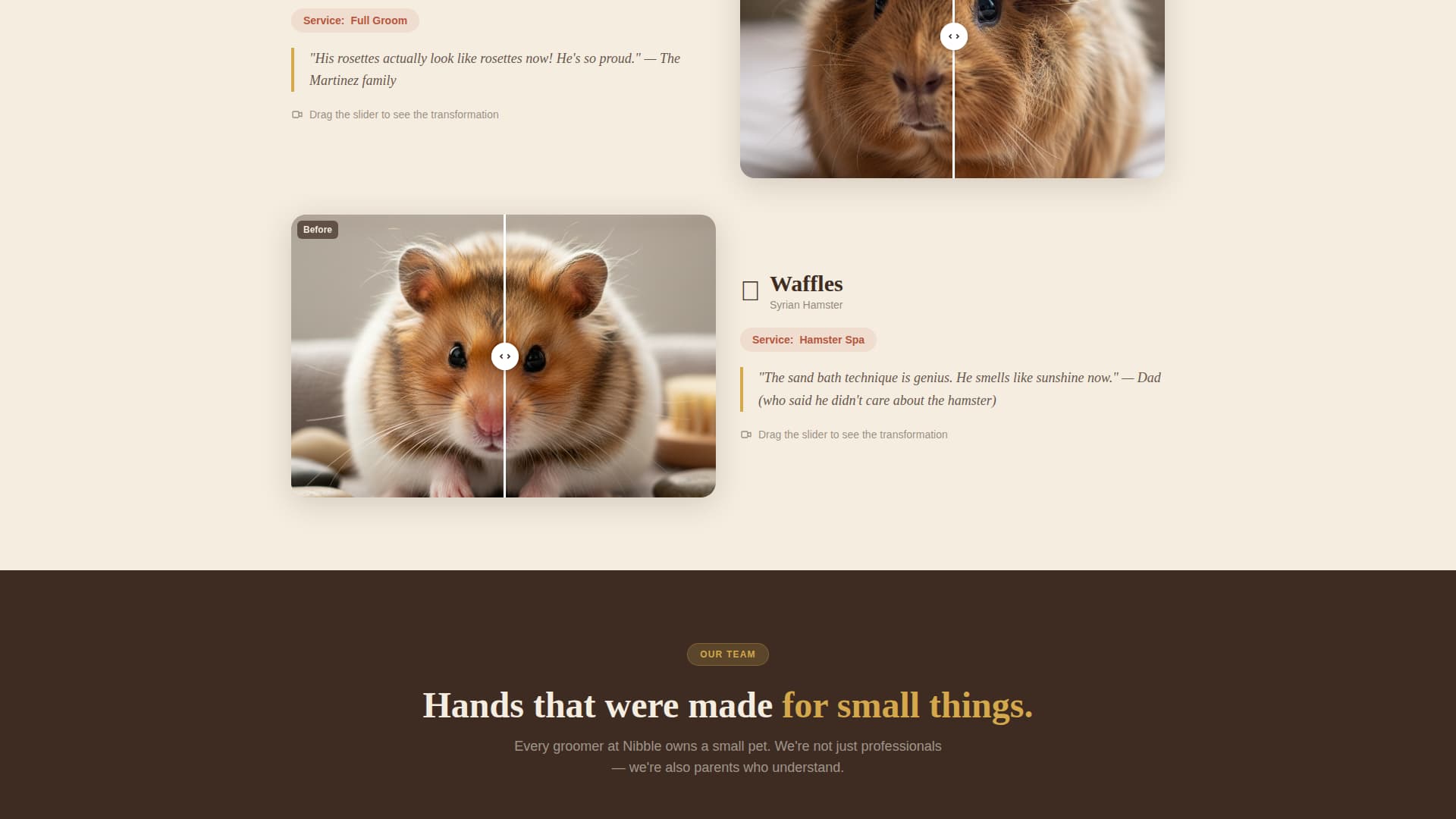 Nibble - Charming Hamstergrooming Landing Page Template