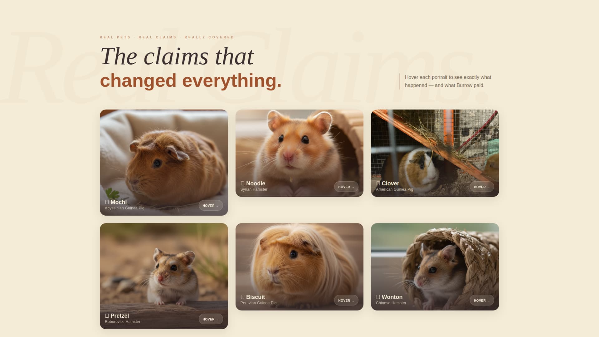 Burrow - Trusted Petinsurance Landing Page Template