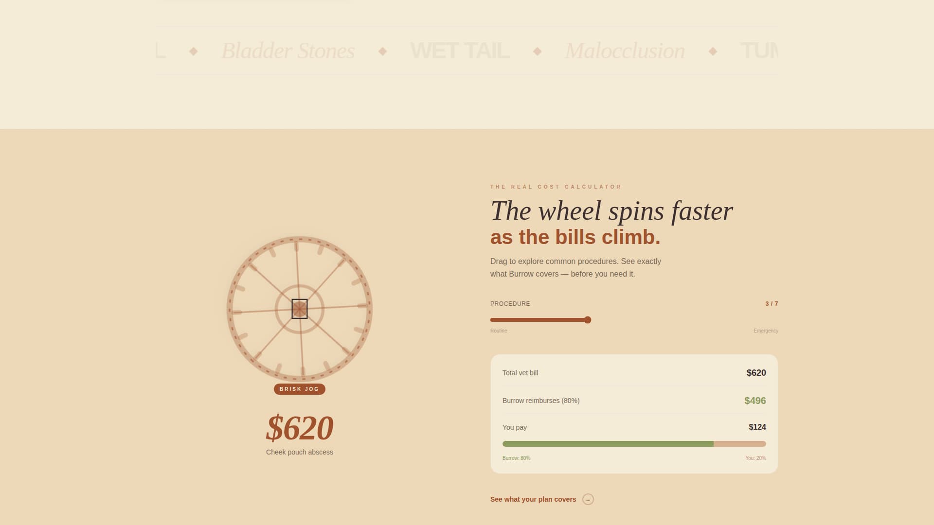 Burrow - Trusted Petinsurance Landing Page Template