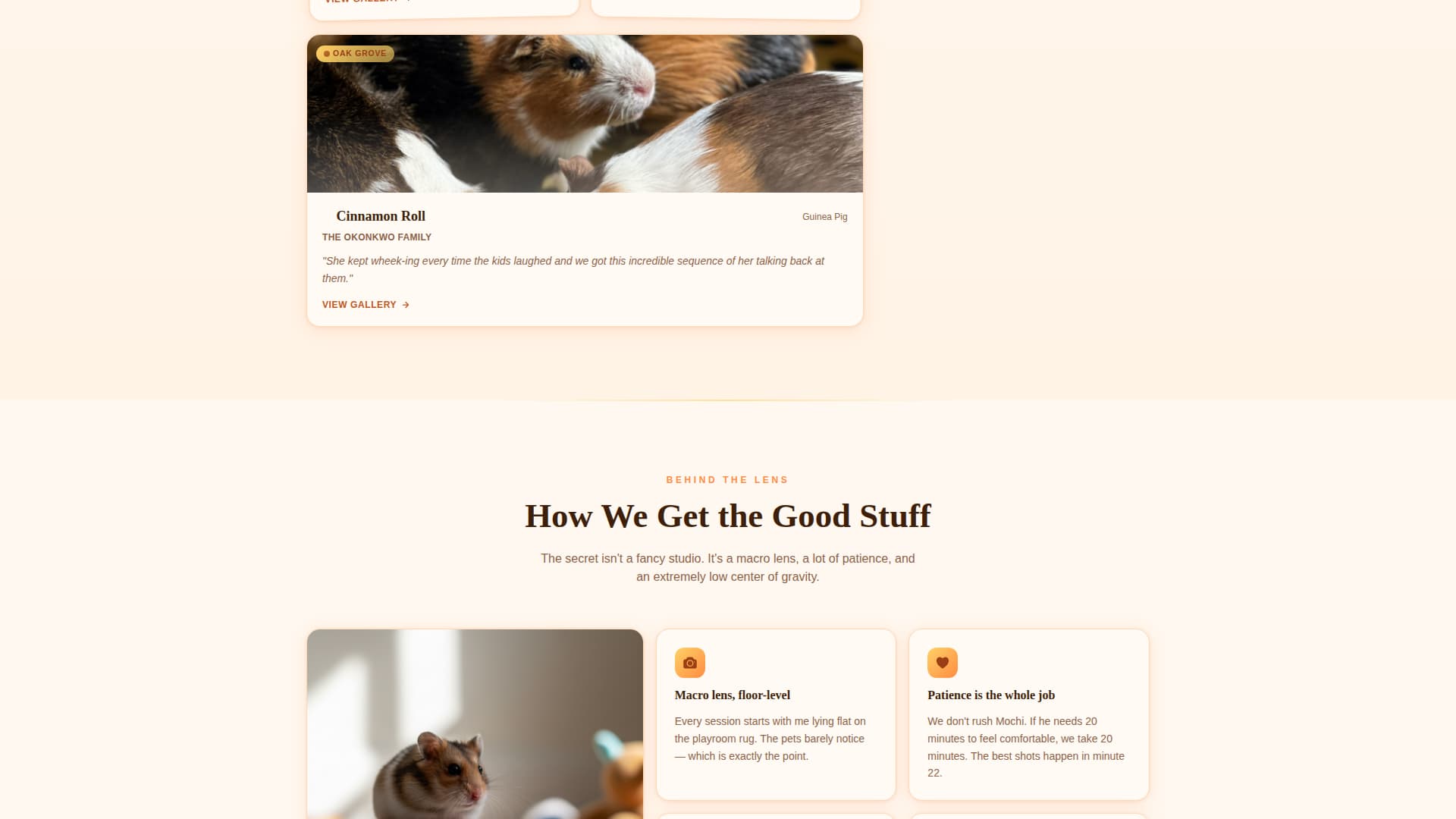 Whisker - Heartwarming Photography Landing Page Template