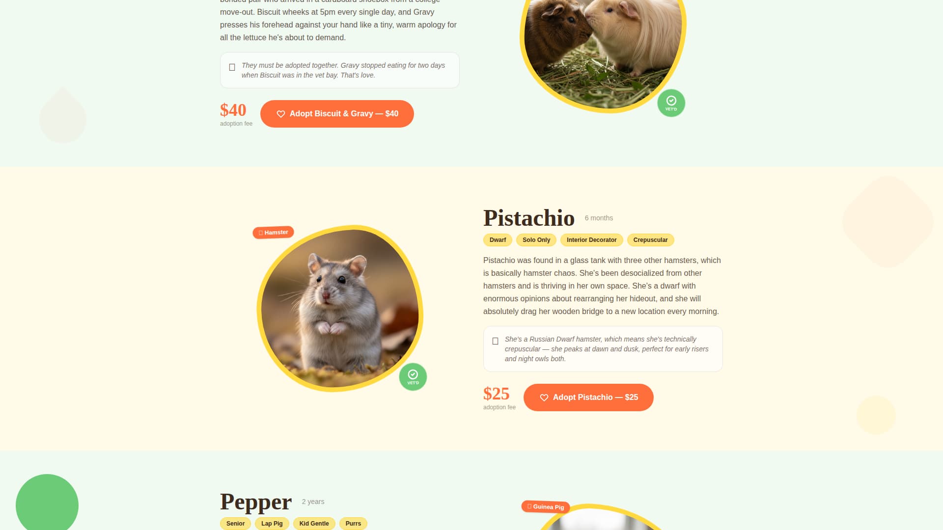 Burrow - Cheerful Rescue Landing Page Template