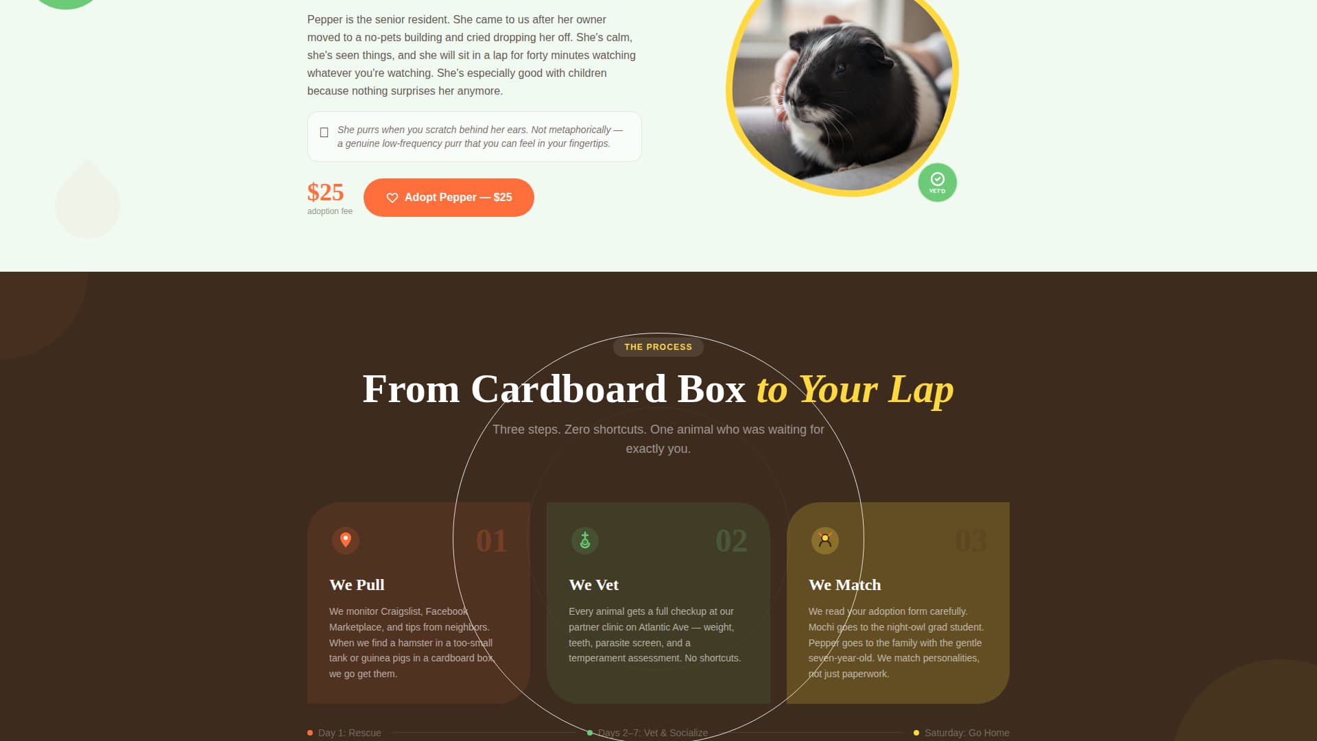 Burrow - Cheerful Rescue Landing Page Template