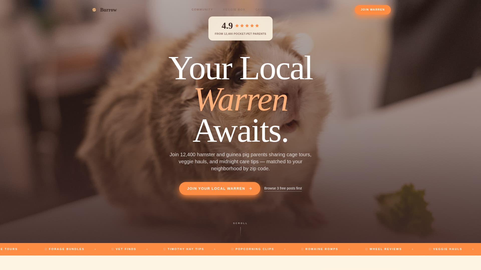 Warren - Vibrant Pocketpet Landing Page Template
