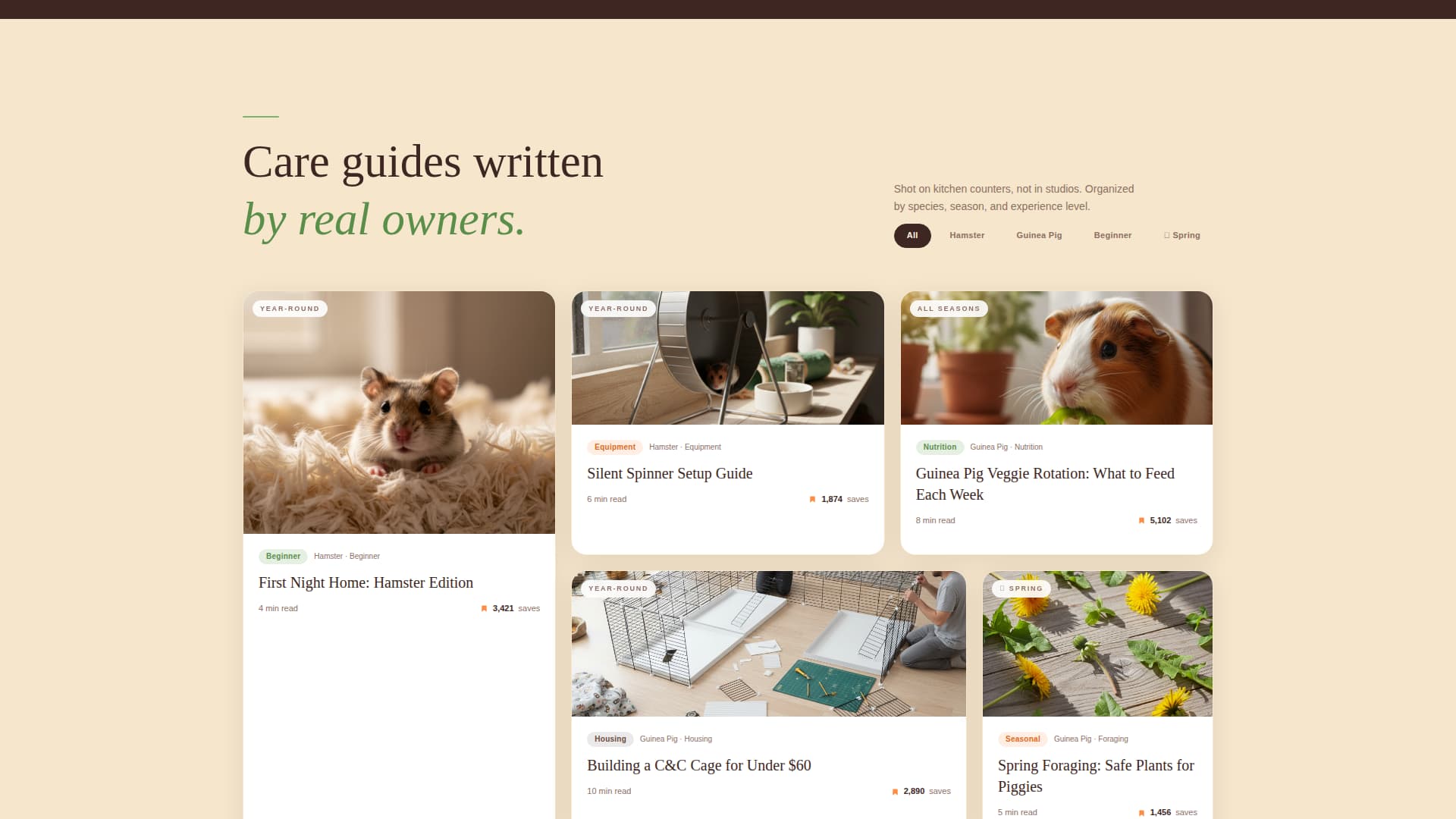 Warren - Vibrant Pocketpet Landing Page Template