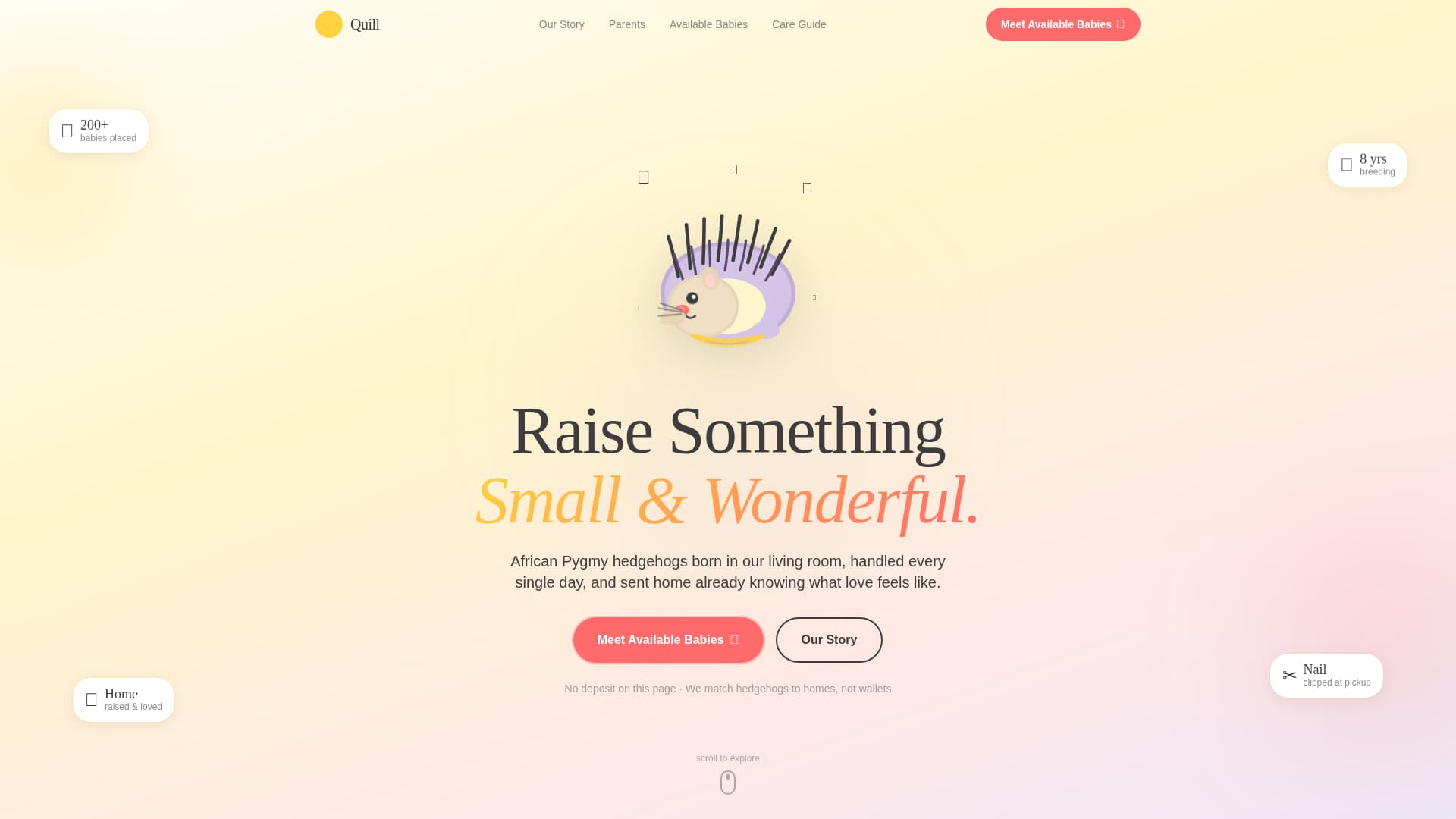 Quill - Heartwarming Hedgehogbreeder Landing Page Template