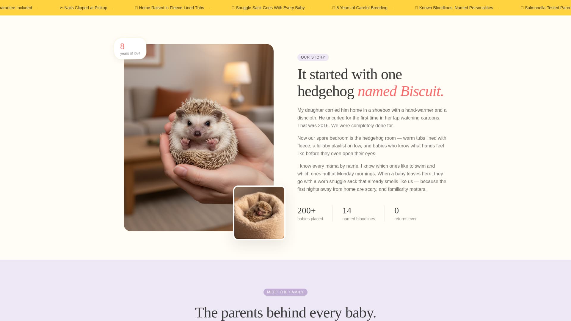 Quill - Heartwarming Hedgehogbreeder Landing Page Template
