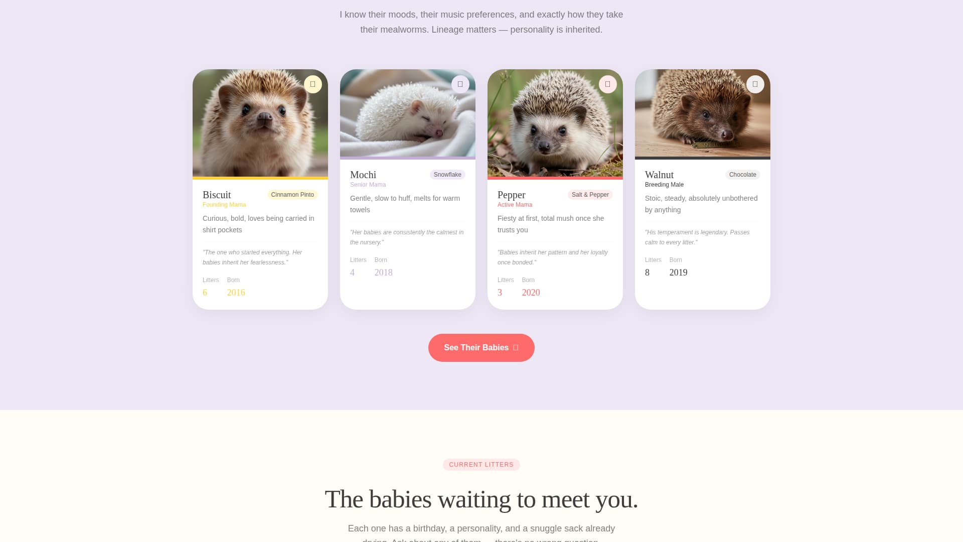 Quill - Heartwarming Hedgehogbreeder Landing Page Template