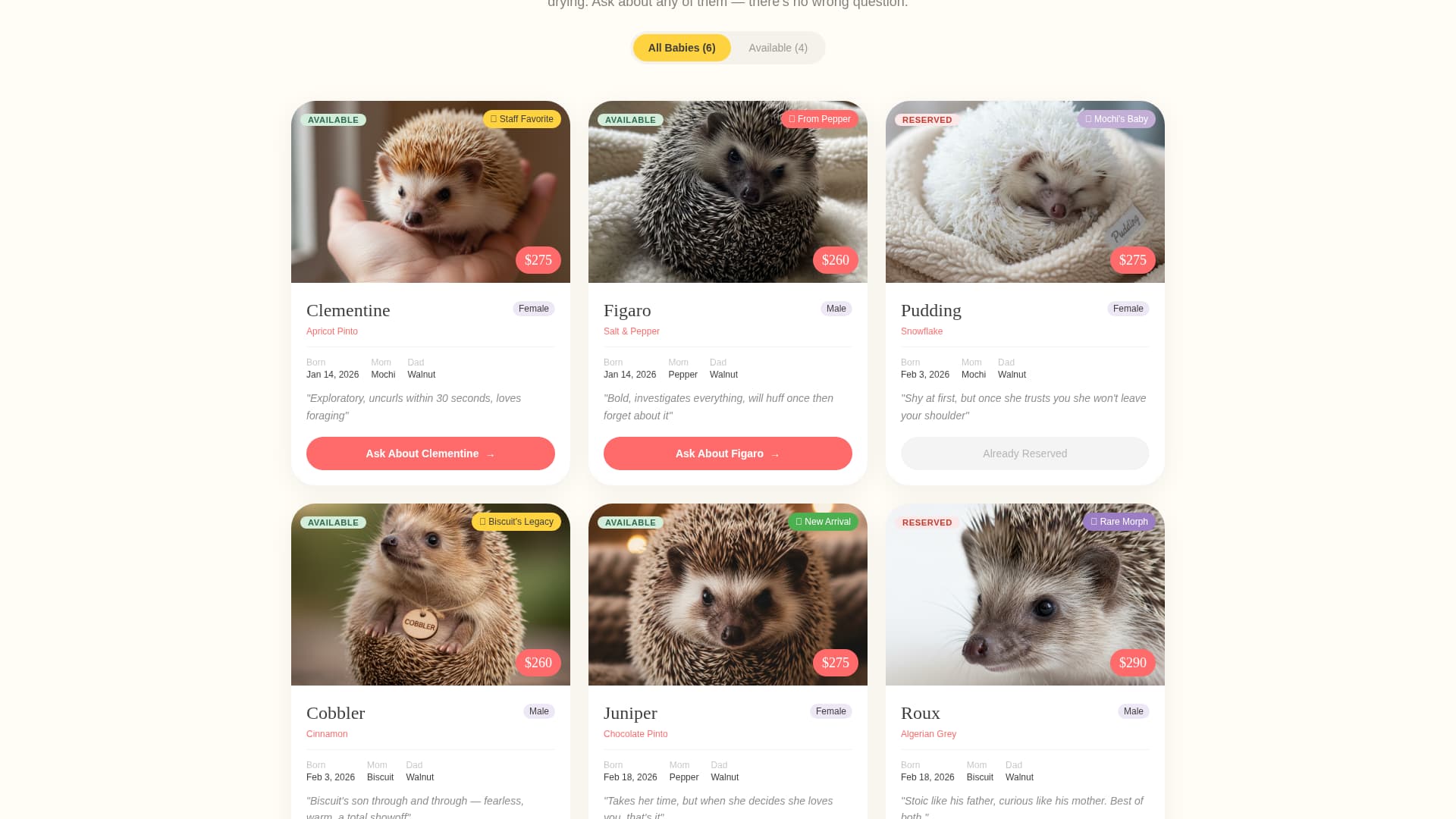 Quill - Heartwarming Hedgehogbreeder Landing Page Template