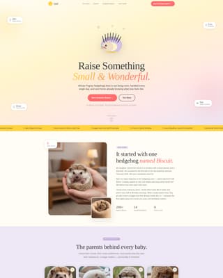 Quill - Heartwarming Hedgehogbreeder Landing Page Template