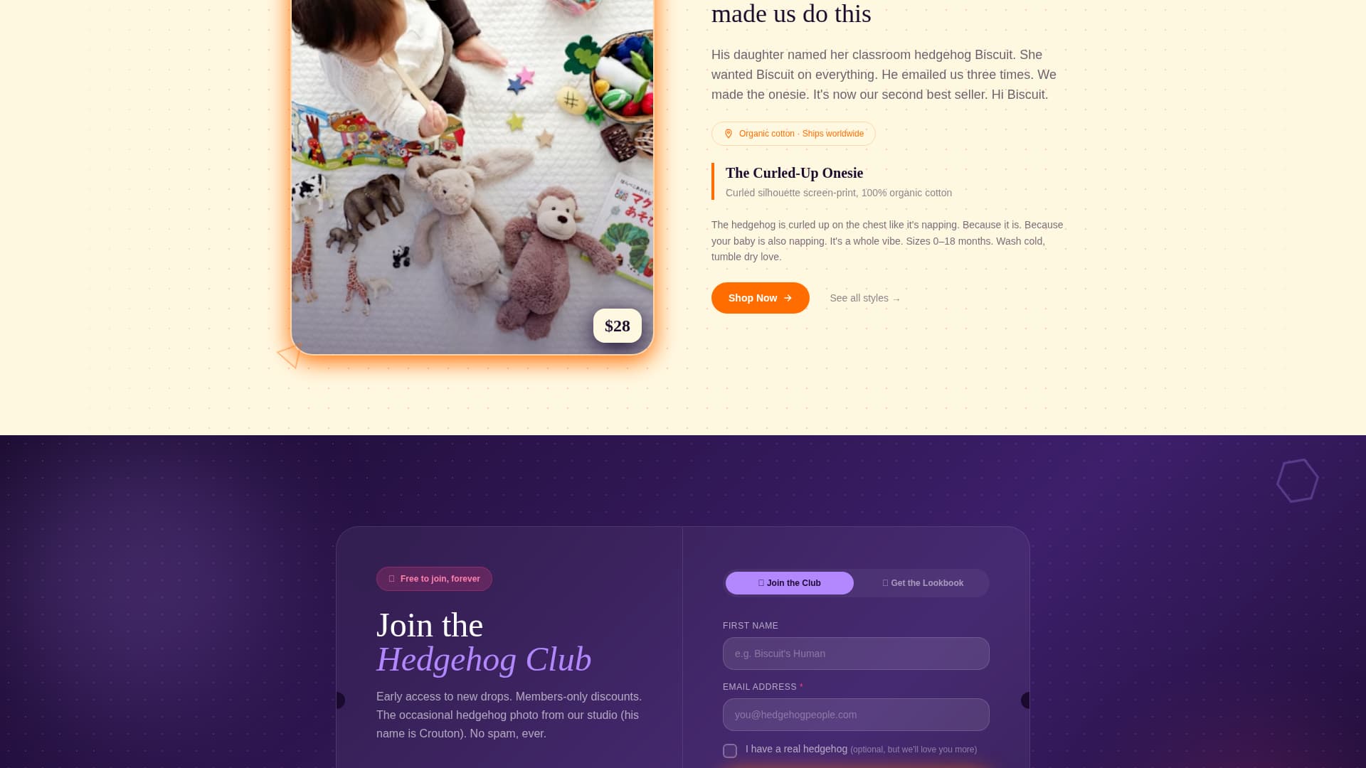 Quill - Charming Hedgehog Landing Page Template
